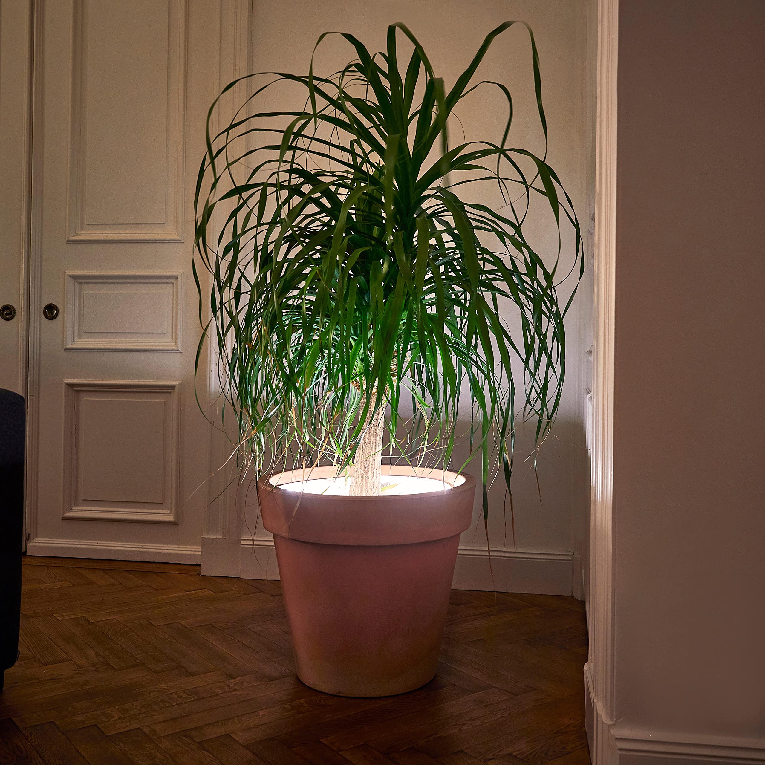Northpoint LED Pflanzenlampe Rundum-Licht
