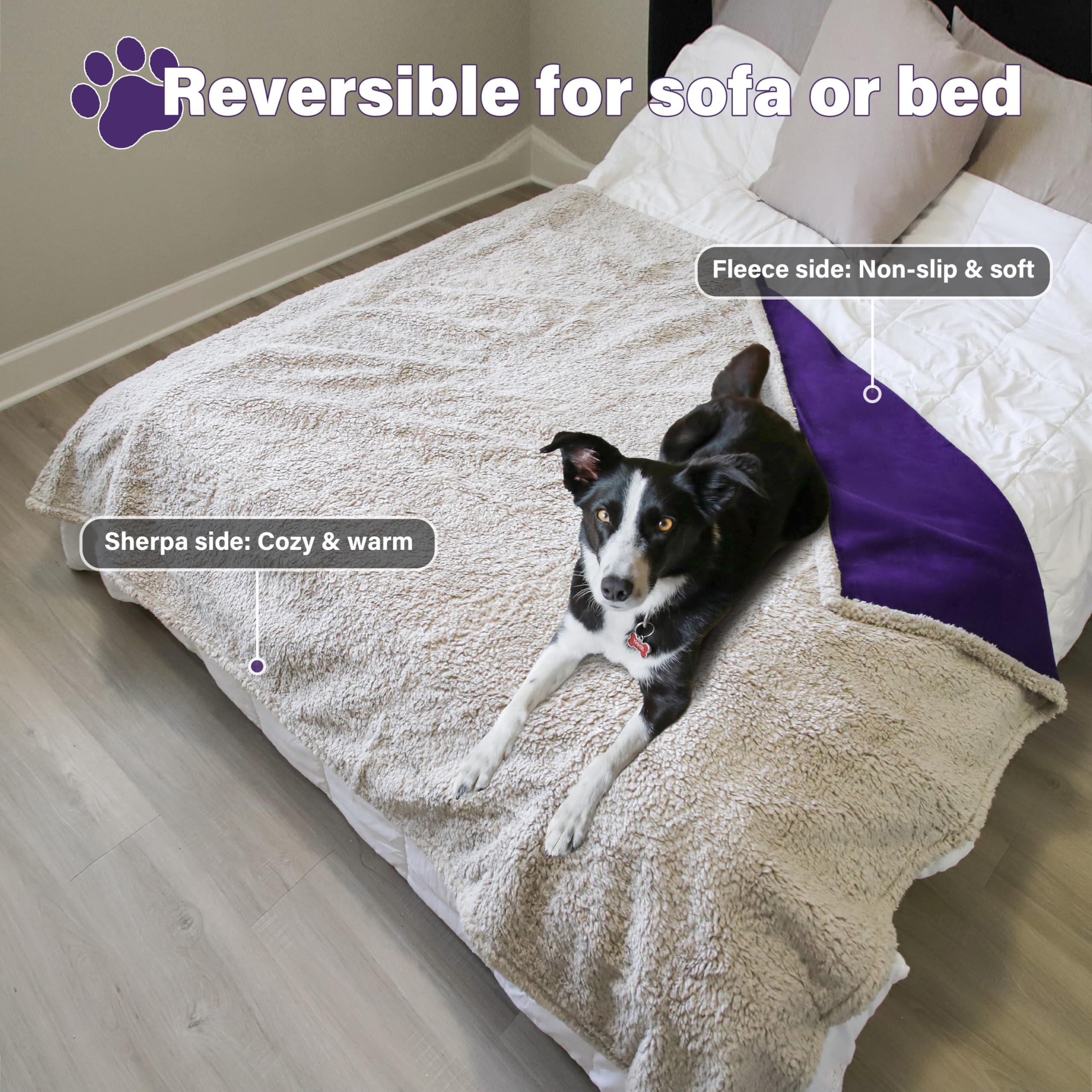 Catalonia Classy Waterproof Love Blanket for Bed Fleece Intimacy Blanke for Adults Reversible Washable Dog Blanket for Sofa 203 x 152 cm - Image 4