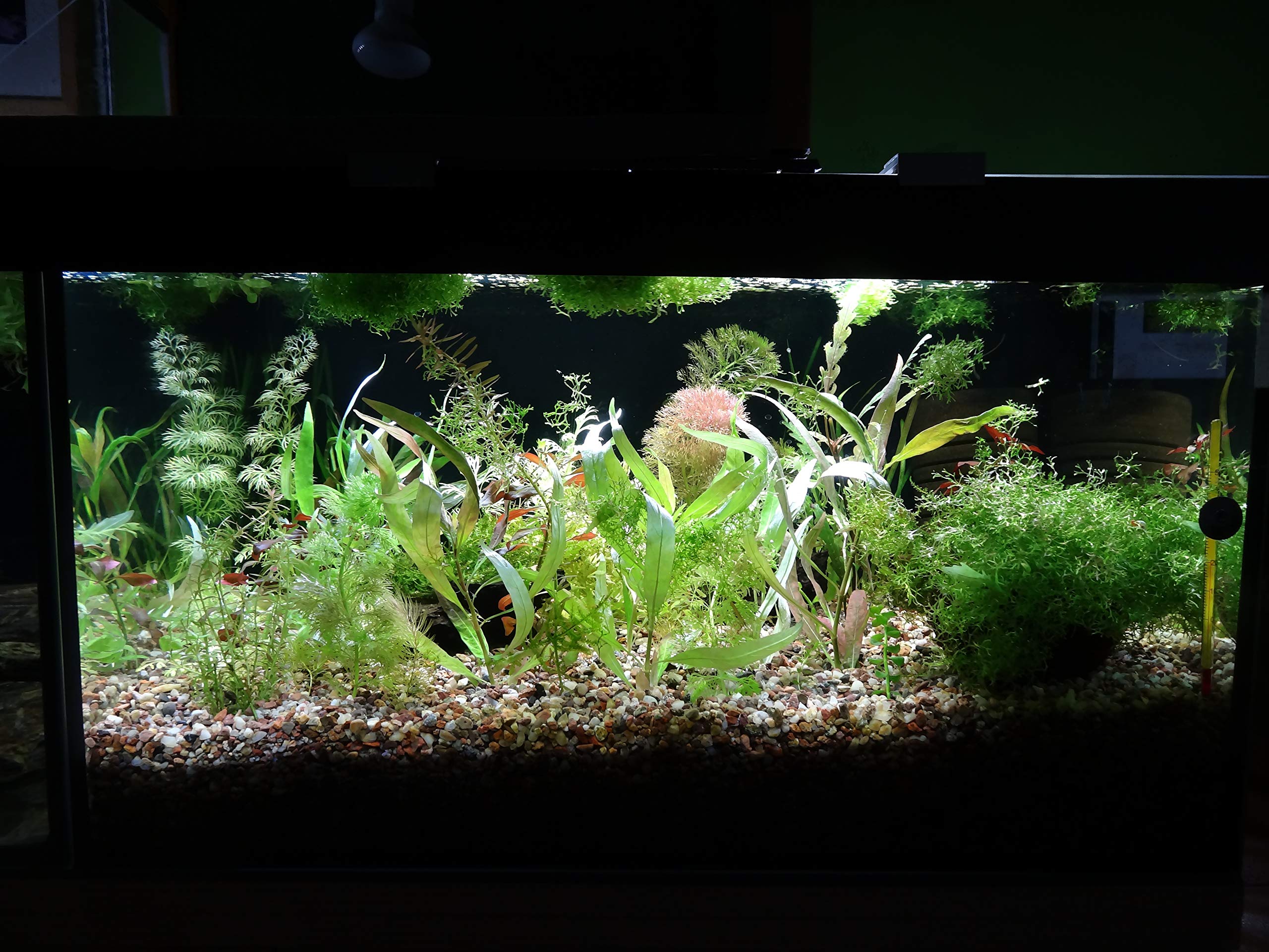 View 7