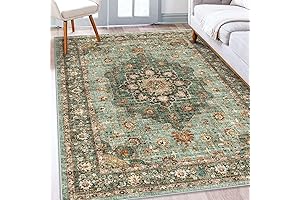 Befbee 5x8 Rugs: Washable Dream for Modern Homes