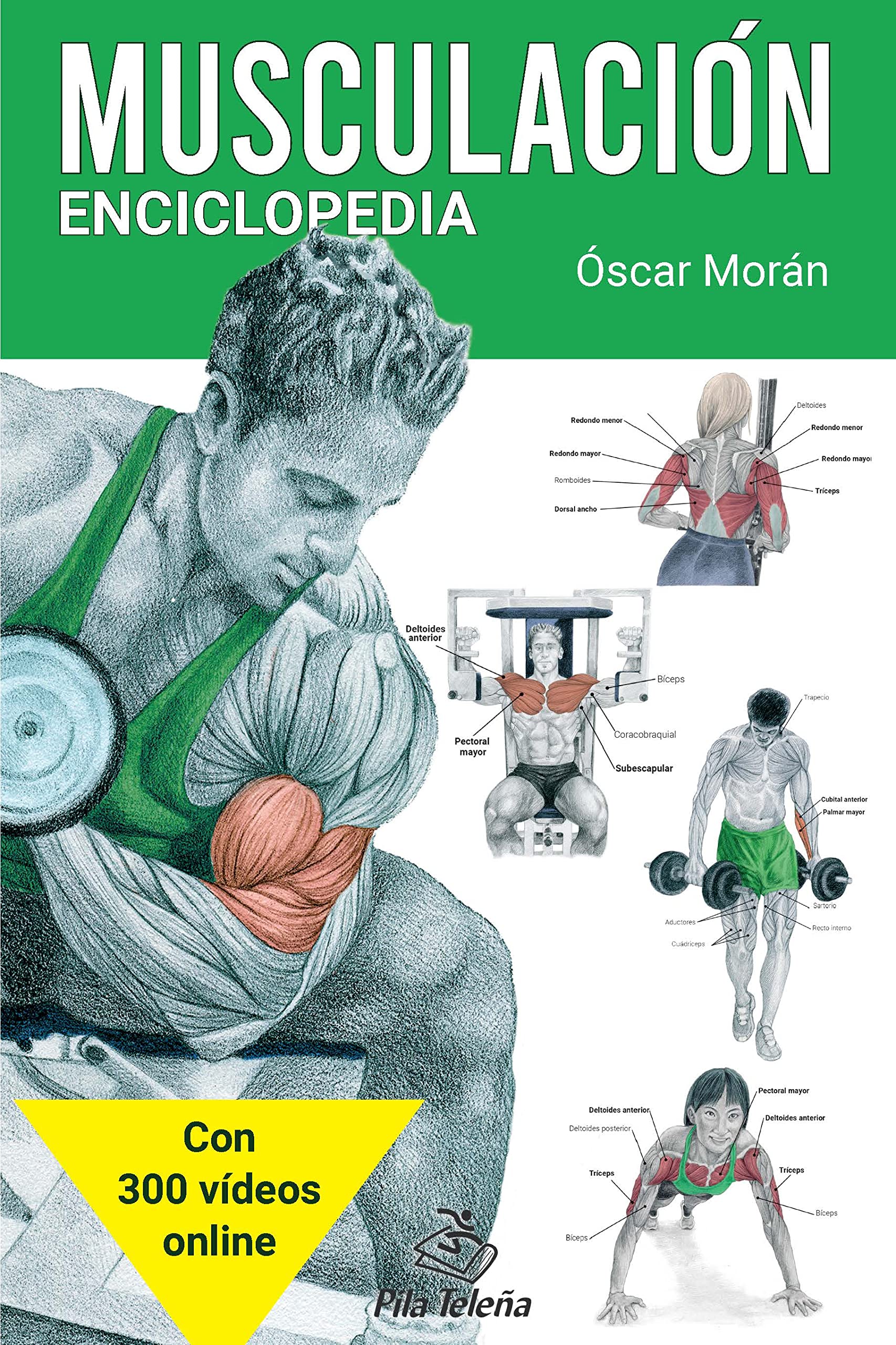 MUSCULACIÓN: Enciclopedia (Spanish Edition)
