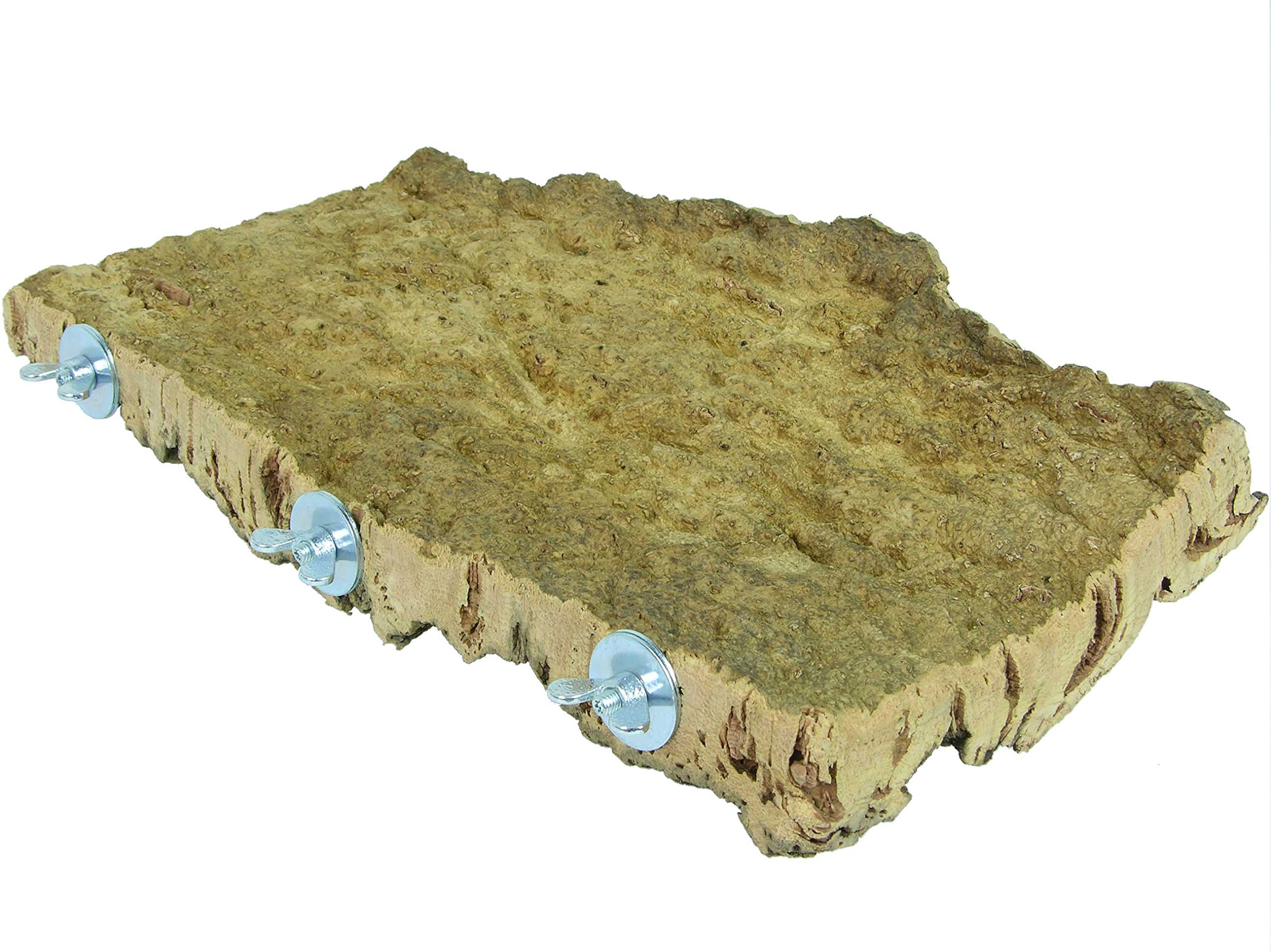 Korksitzbrett für Vögel - Größe S, M, L, XL, XXL - 100% Bio Vogelkäfig Zubehör - natürliches Kork Sitzbrett für Wellensittiche, Nymphensittiche, Papageien und Co. (XXL (34 x 17 cm))