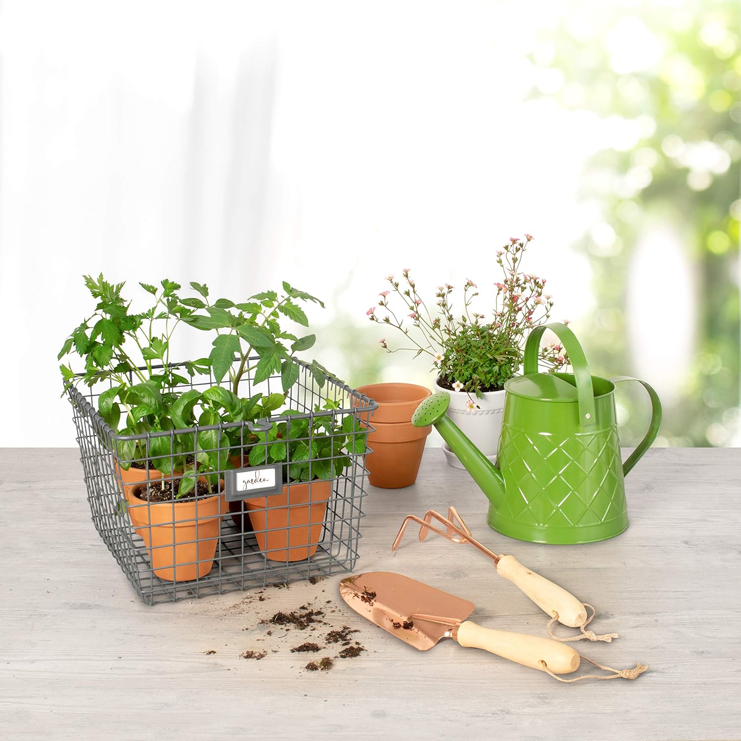 Spectrum 6-Pack Wire Baskets with Label Plate (Industrial Gray) - Storage Bin & Décors for Bathroom, Closet, Pantry, Under Sink, Toy, Shelf, Kitchen, & Nursery Organization