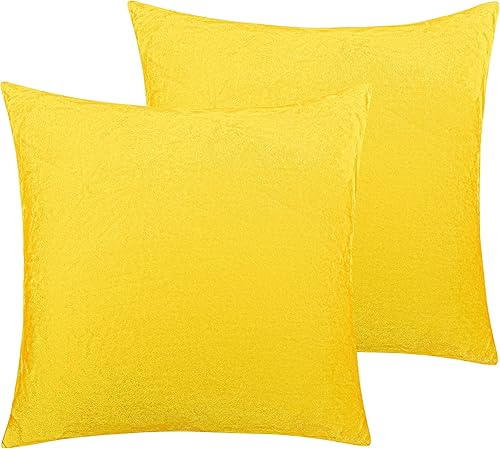 NTBAY - Set de 2 fundas de lujo para almohadas, hechas de terciopelo, súper suaves y acogedoras