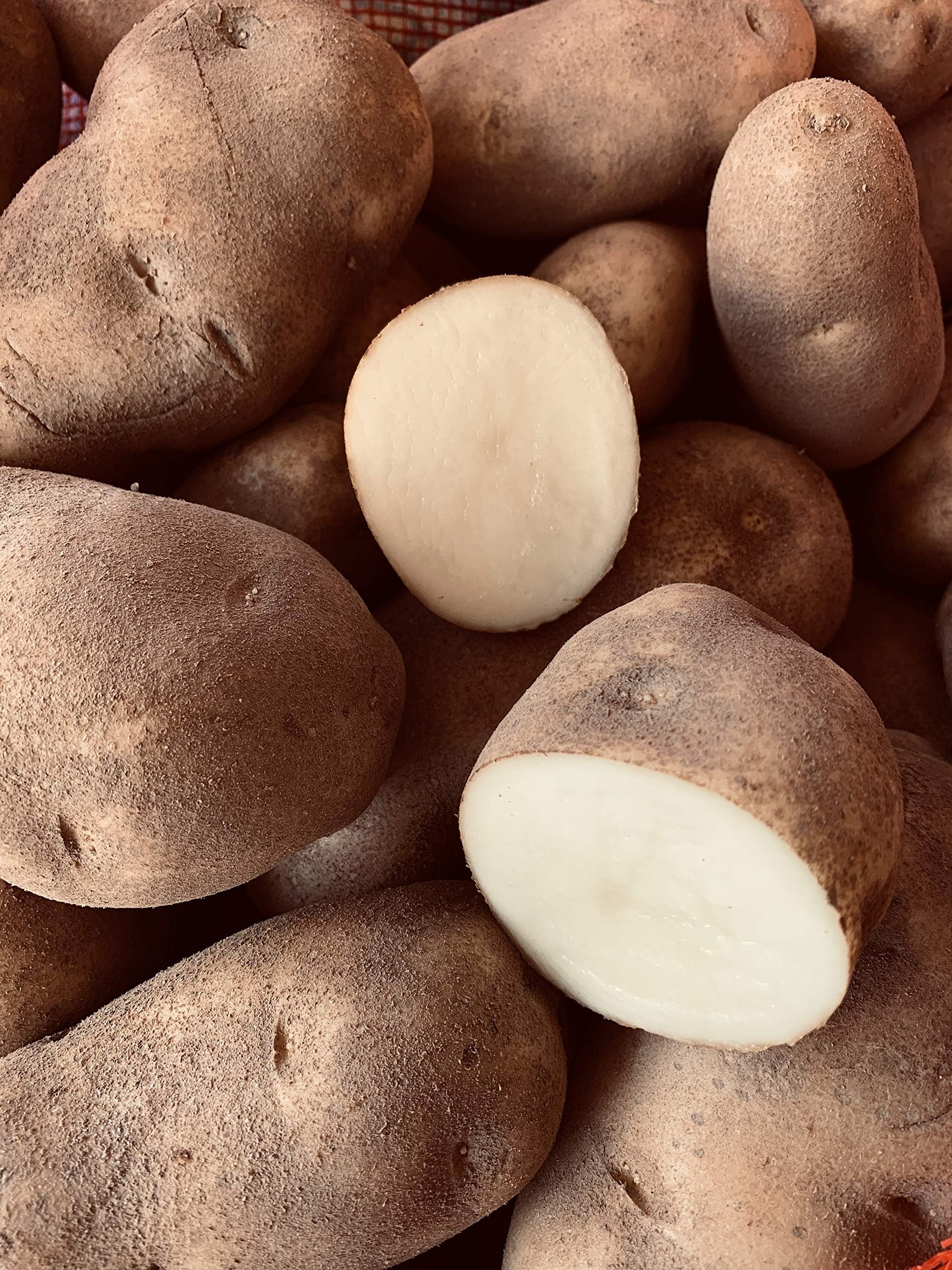 Russet Potatoes (NON GMO-Gluten Free) Produce of USA - 3 LBS