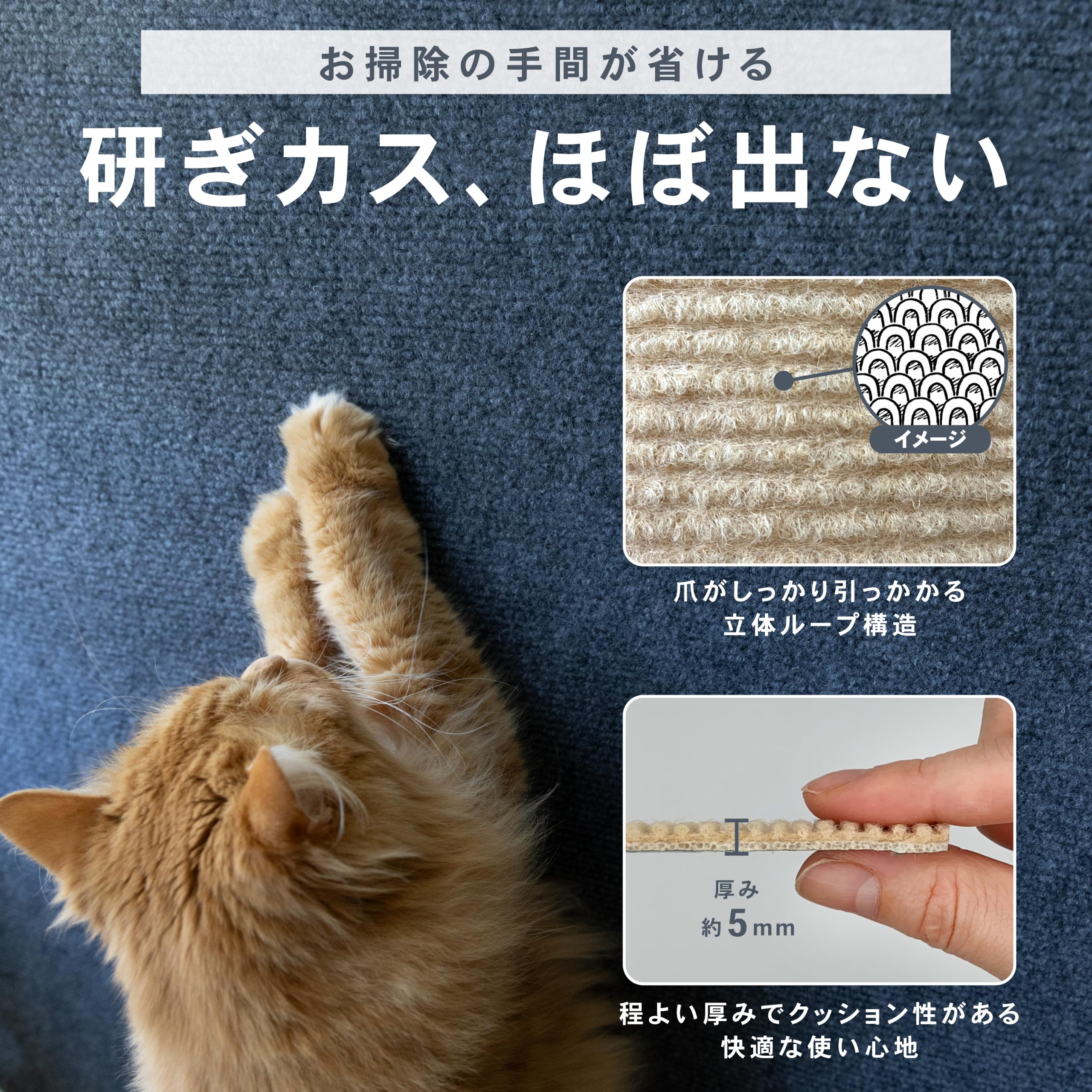 Amazon | ピタッと貼れる 猫 爪とぎシート 爪とぎ防止シート 壁紙保護