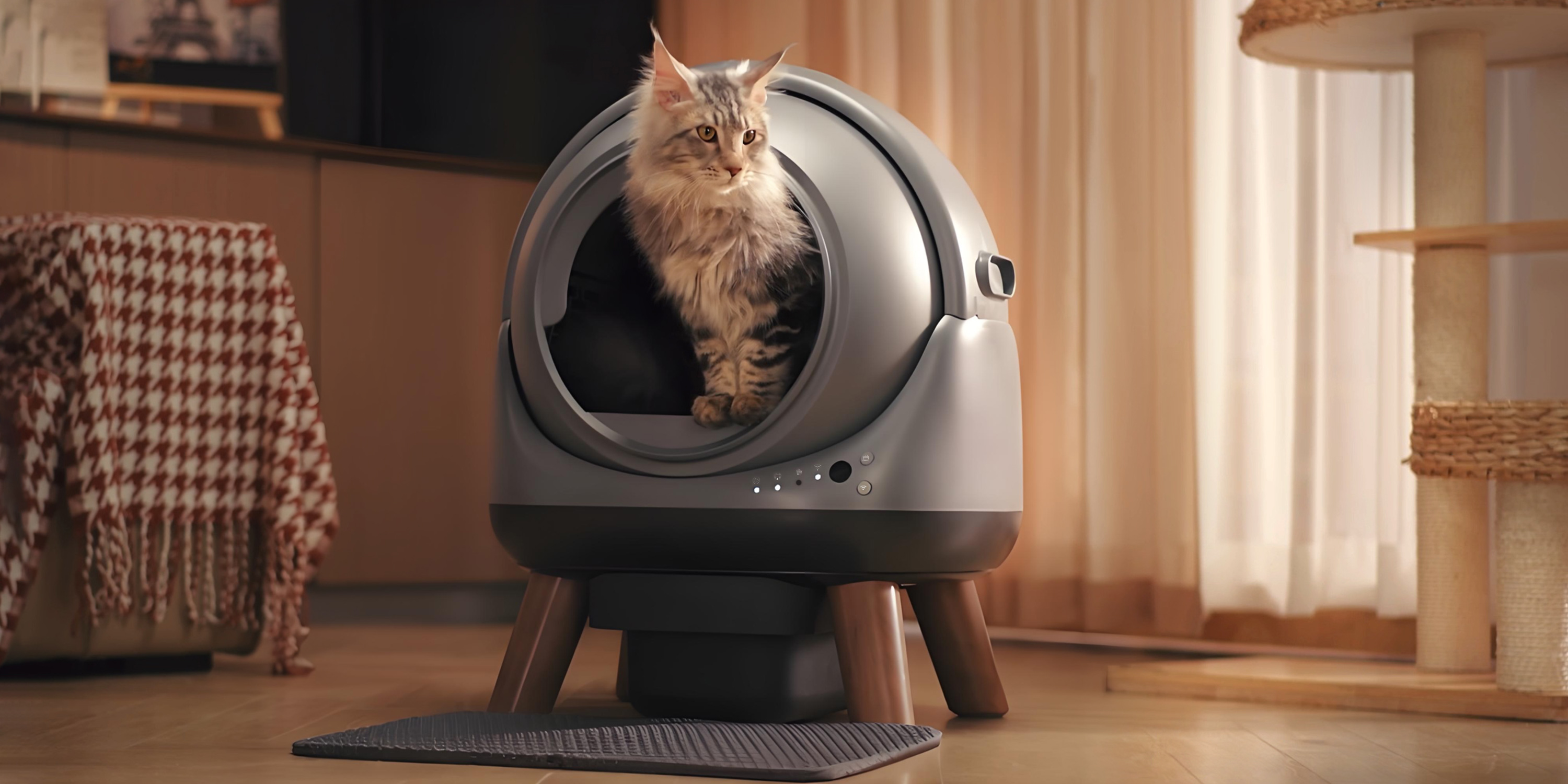 自動猫トイレ 65L 球形デザイン 自動猫トイレ 65L 球形デザイン Amazon | 【こびりつき防止構造