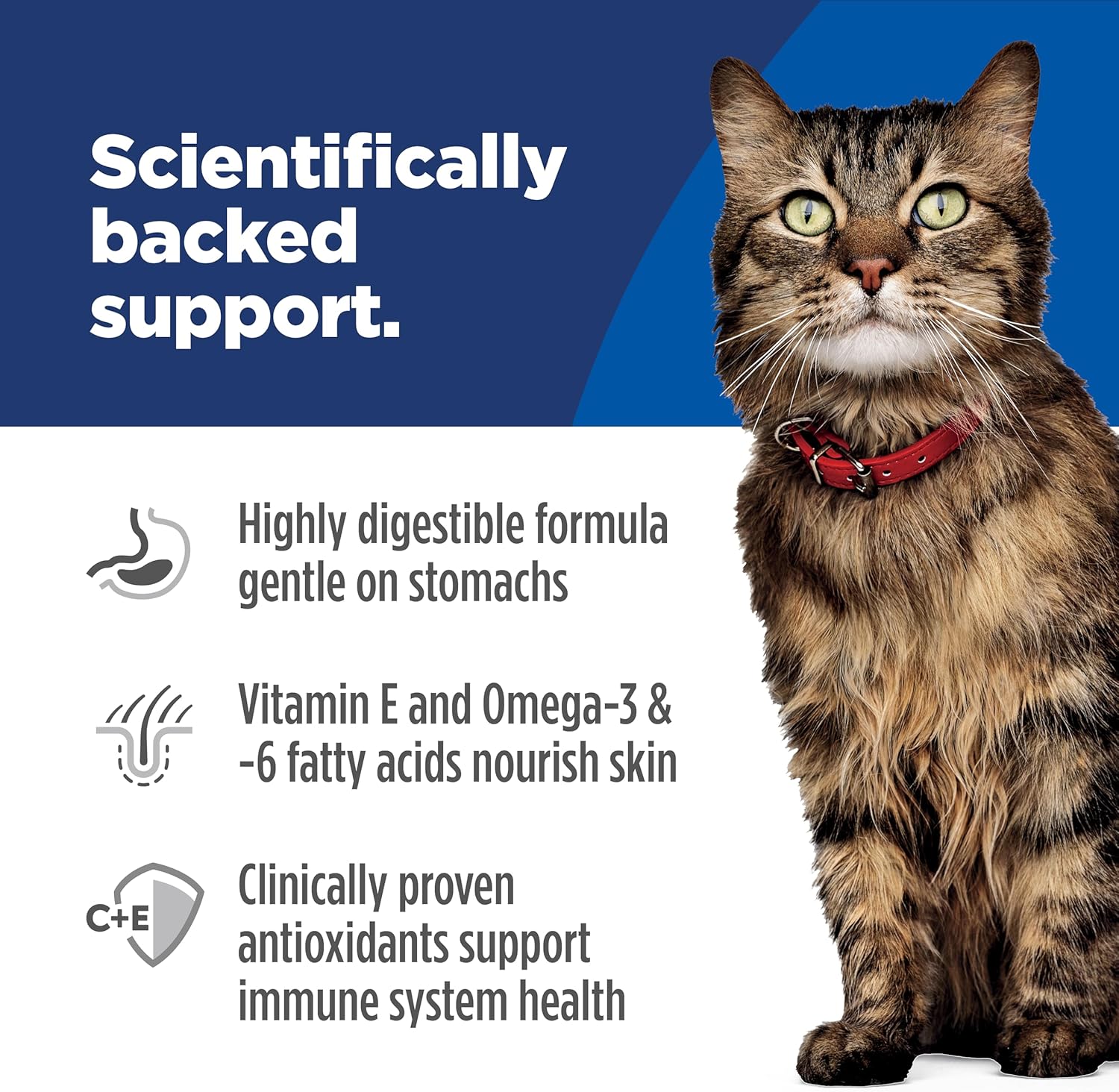 Hill's Science Diet Adult 1-6 Sensitive Stomach & Skin Wet & Dry Cat Food Bundle