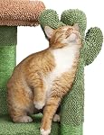 Yaheetech Cactus Arbre de chat, 42in Tour de chat pour les chats intérieurs, maison de chat mignon avec grand condo, postes de scratching, rampe, peluche rembourrée Perch & Balle