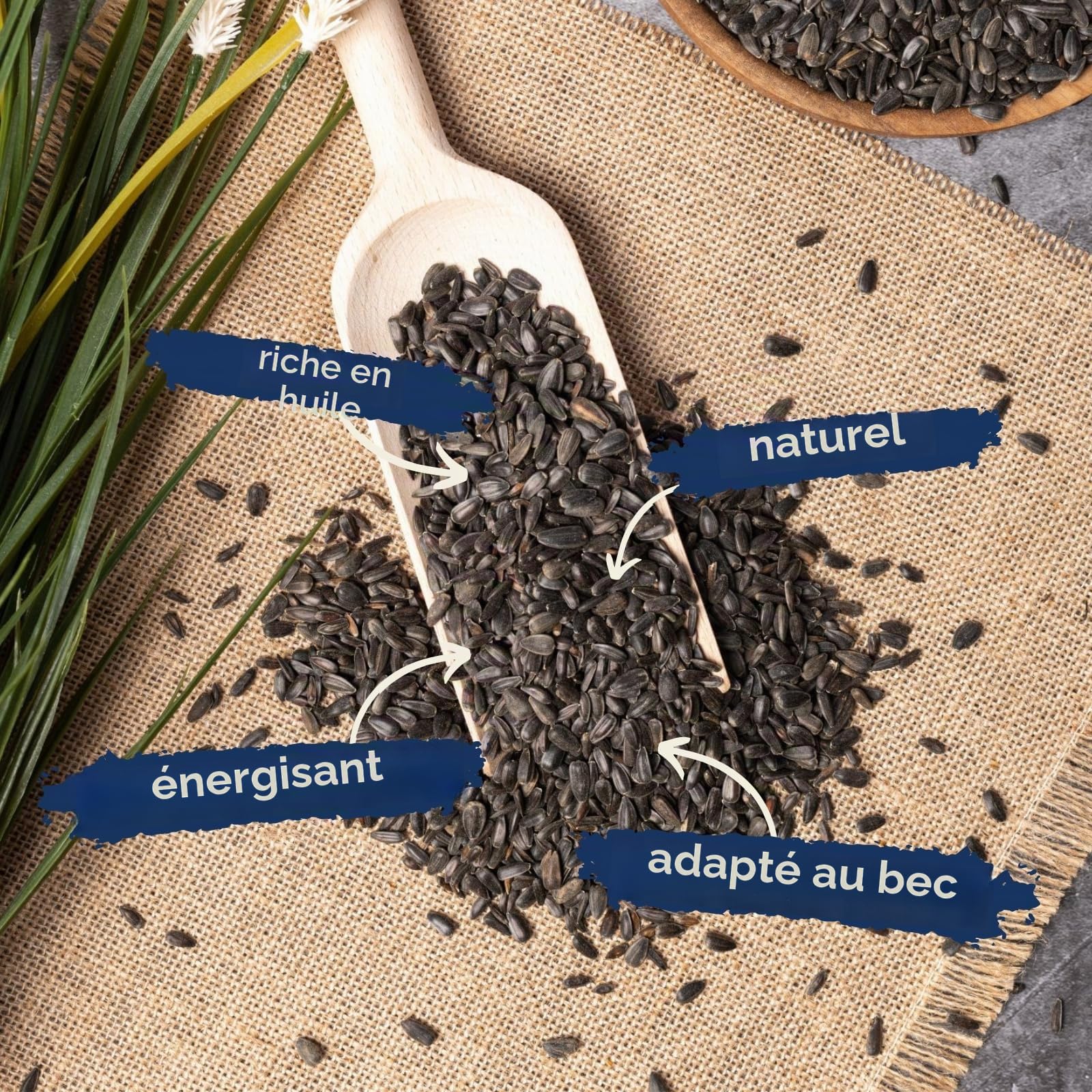 Lyra Pet® 25 kg de graines de Tournesol Noir | Nourriture pour Oiseaux Sauvages Toute l'année | Idéal pour Les Petits Oiseaux | avec Une teneur maximale en Huile | Donne de l'énergie été et Hiver