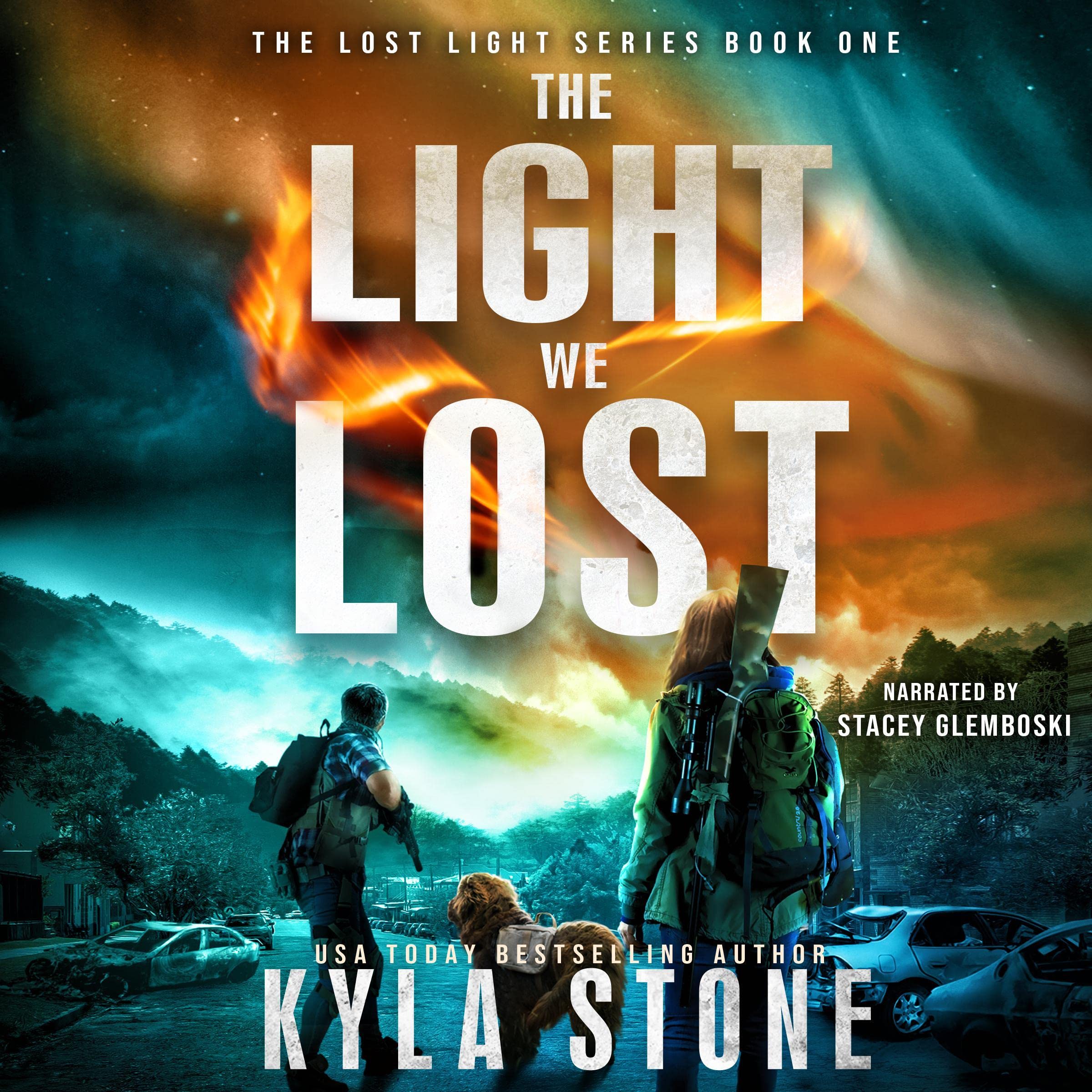 Cover art for The Light We Lost