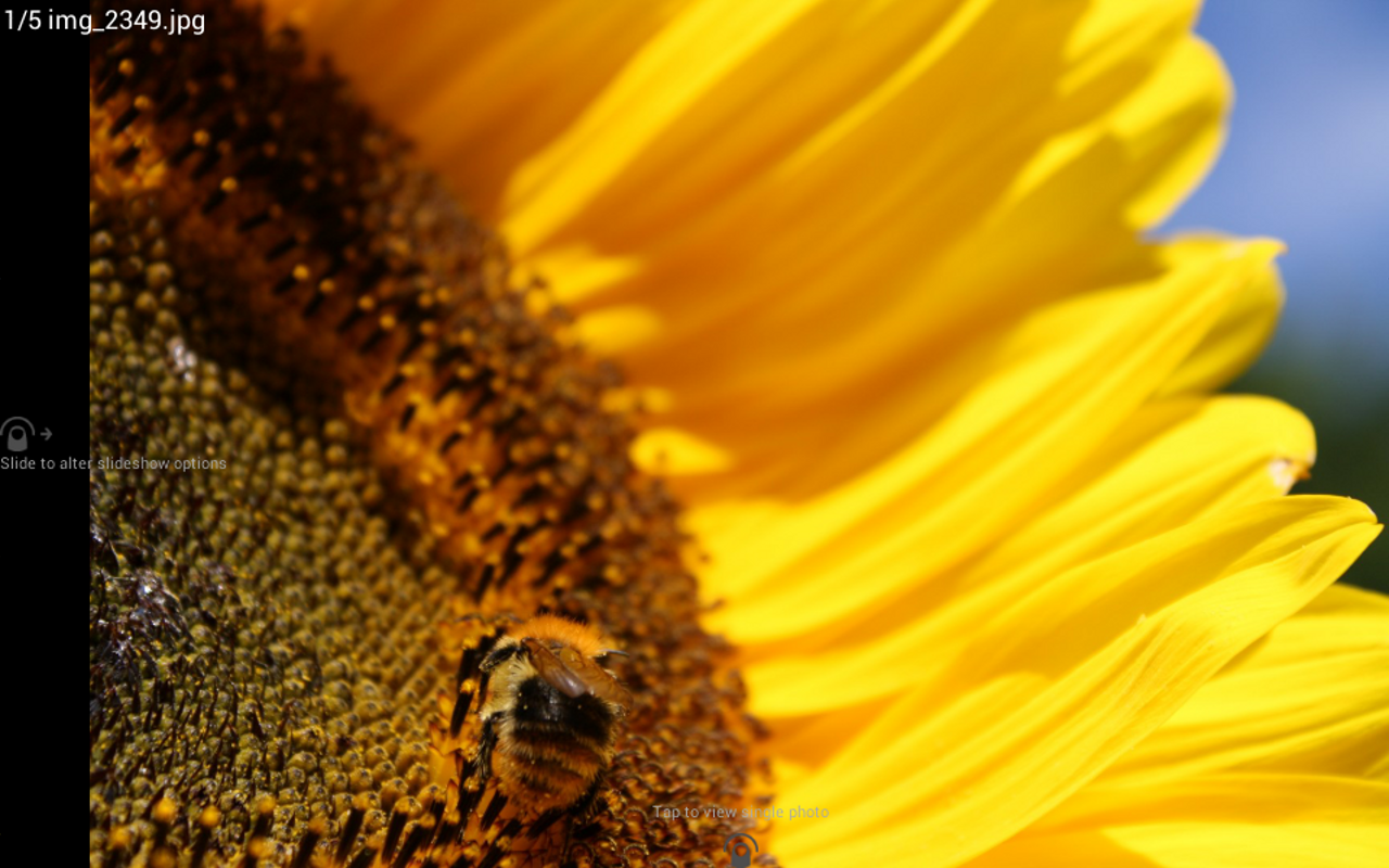 Digital Photo Frame for Android