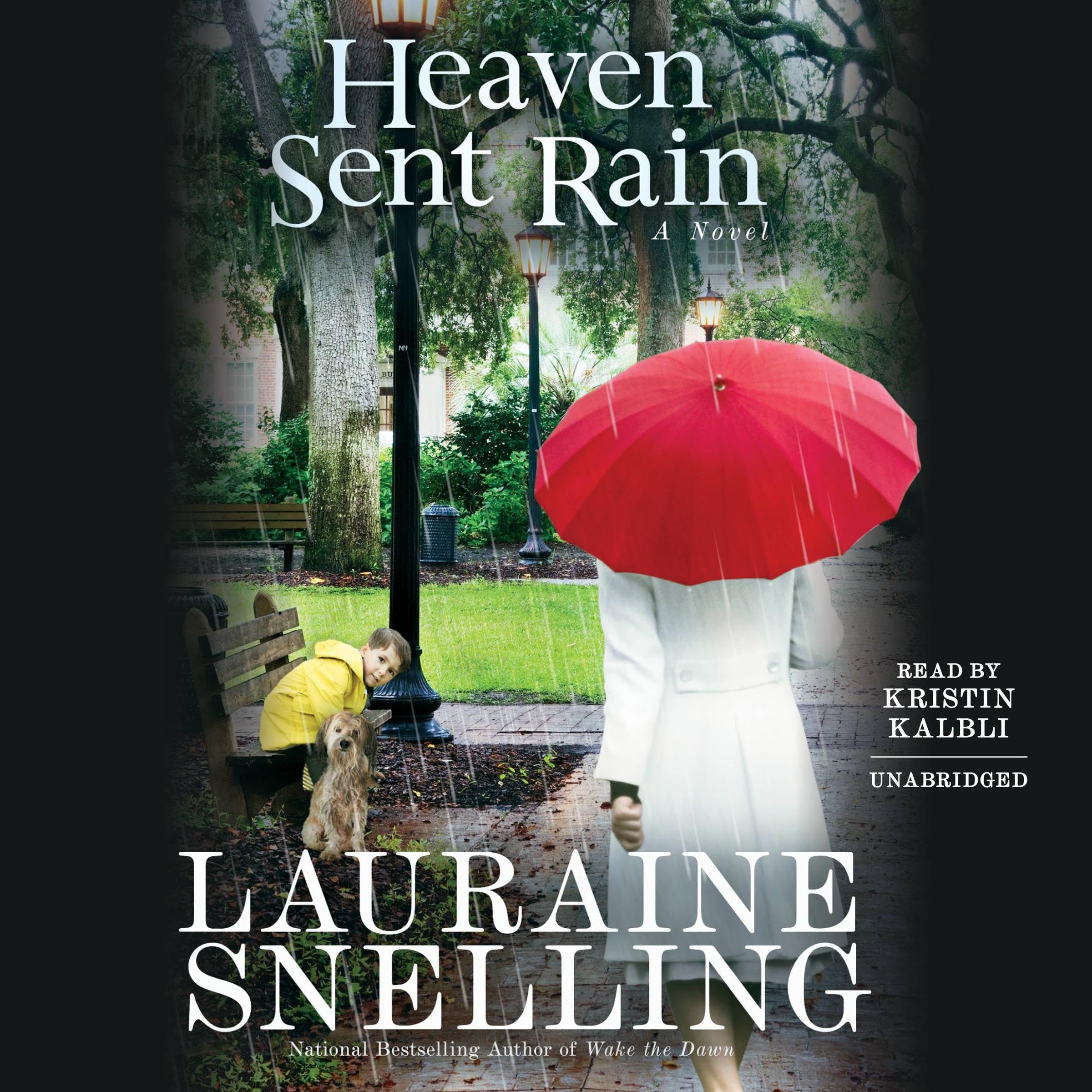 Cover art for Heaven Sent Rain