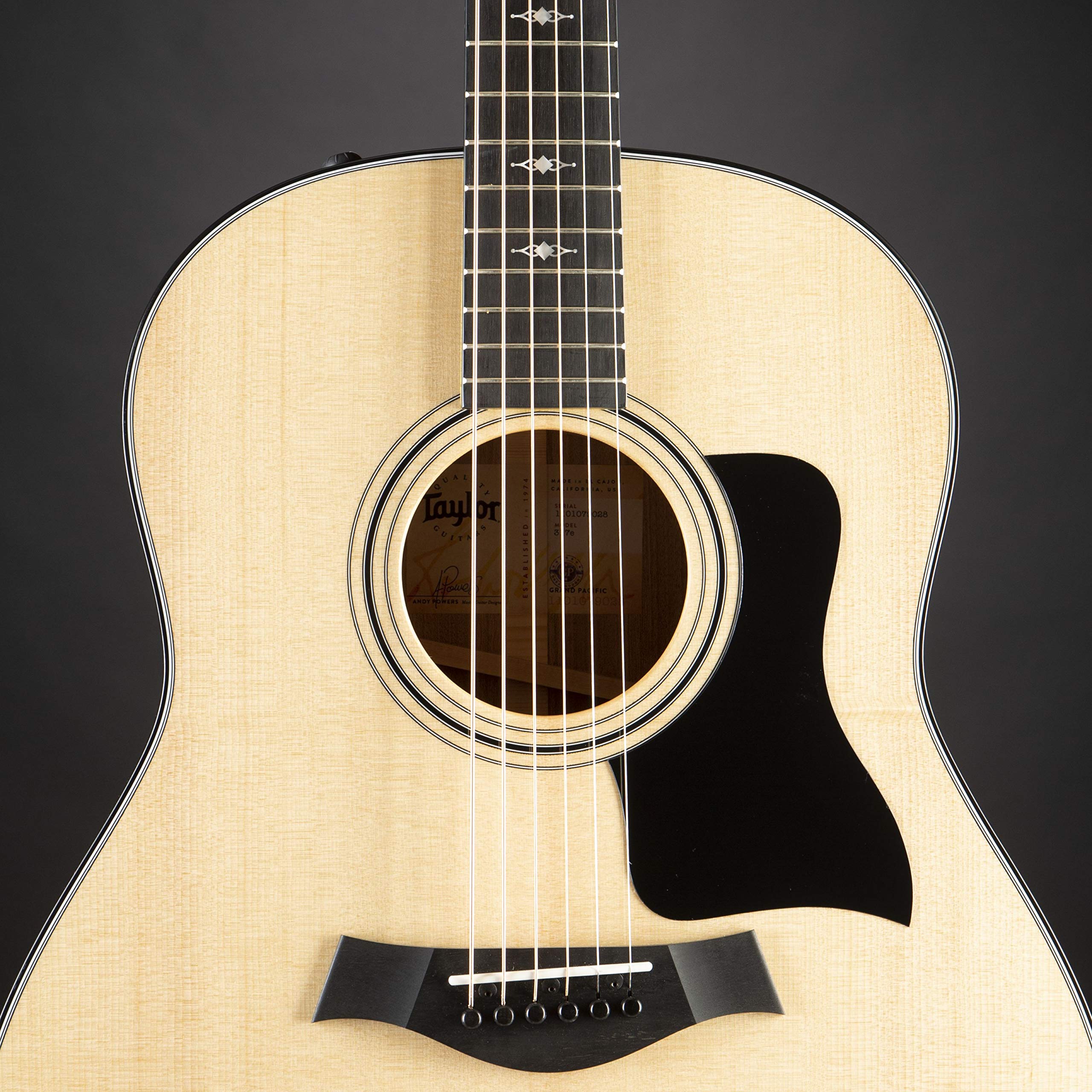 Amazon | Taylor 317e グランドパシフィック Vクラスブレーシング付き