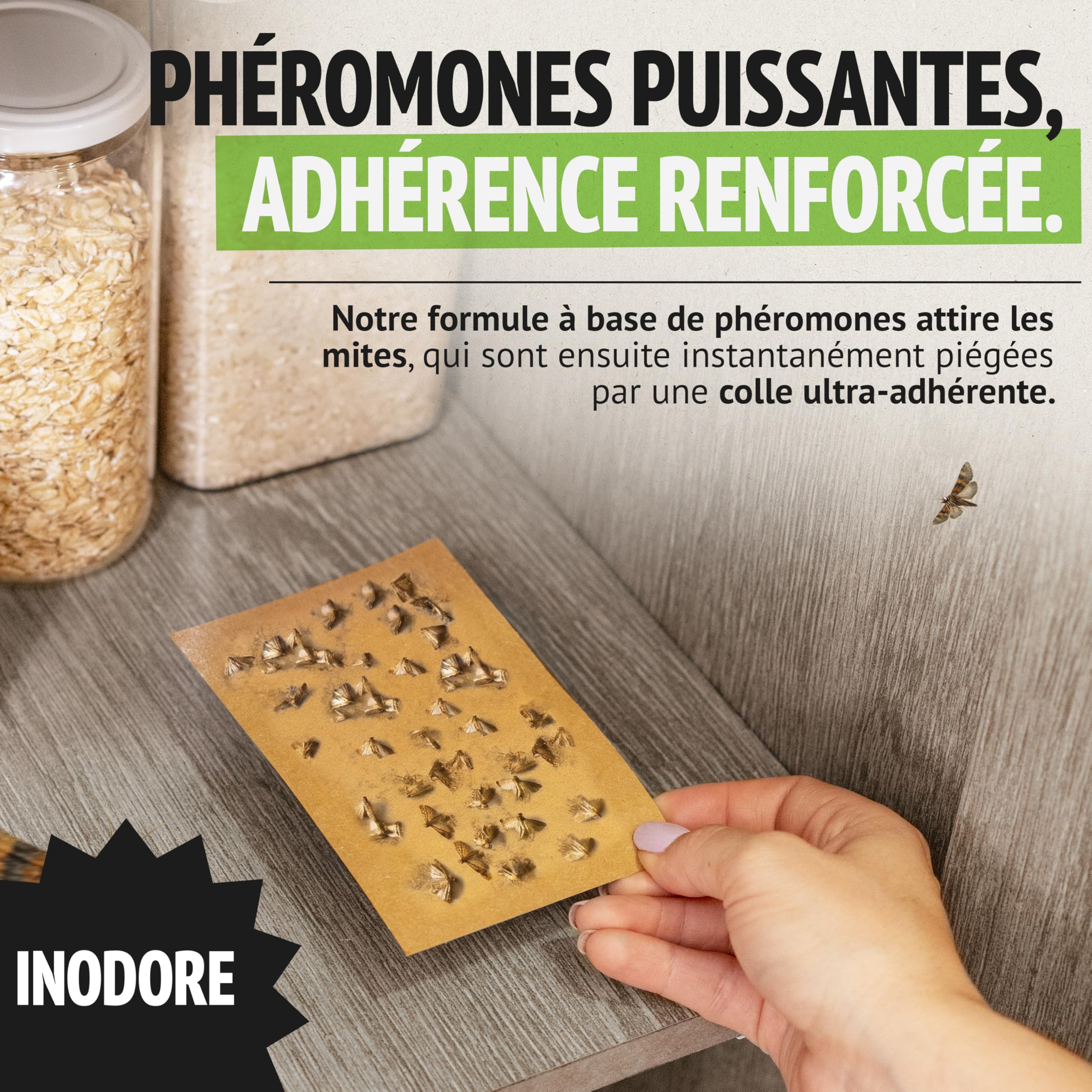 Super Ninja Anti Mites Alimentaires Pack de 4 Pièges avec Phéromone Attractif Cuisine Placards Protection 3 Mois
