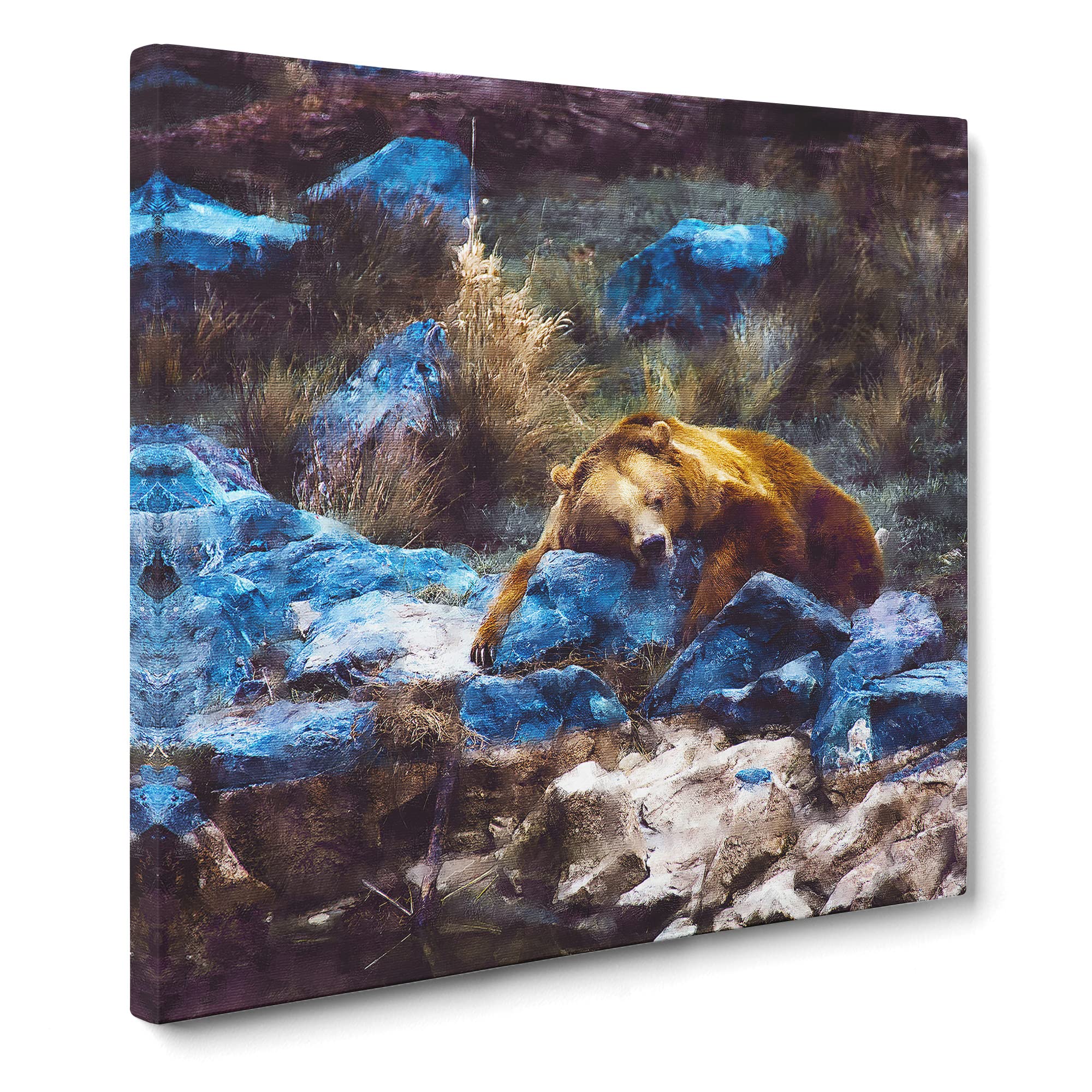 Resting Grizzly Bear Canvas Print, Mixed, 35L x 35W cm