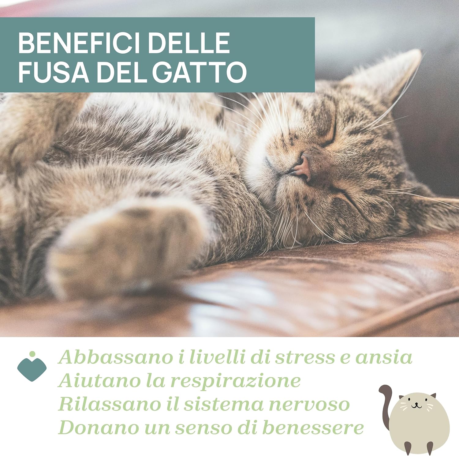 Chicco Soft Fused Kitten Dolce Soft Interactive Plush Toy for Children, with Relaxing and Vibration Effect, Cushion Shape, with Classical Music, Washable, 0 Months +