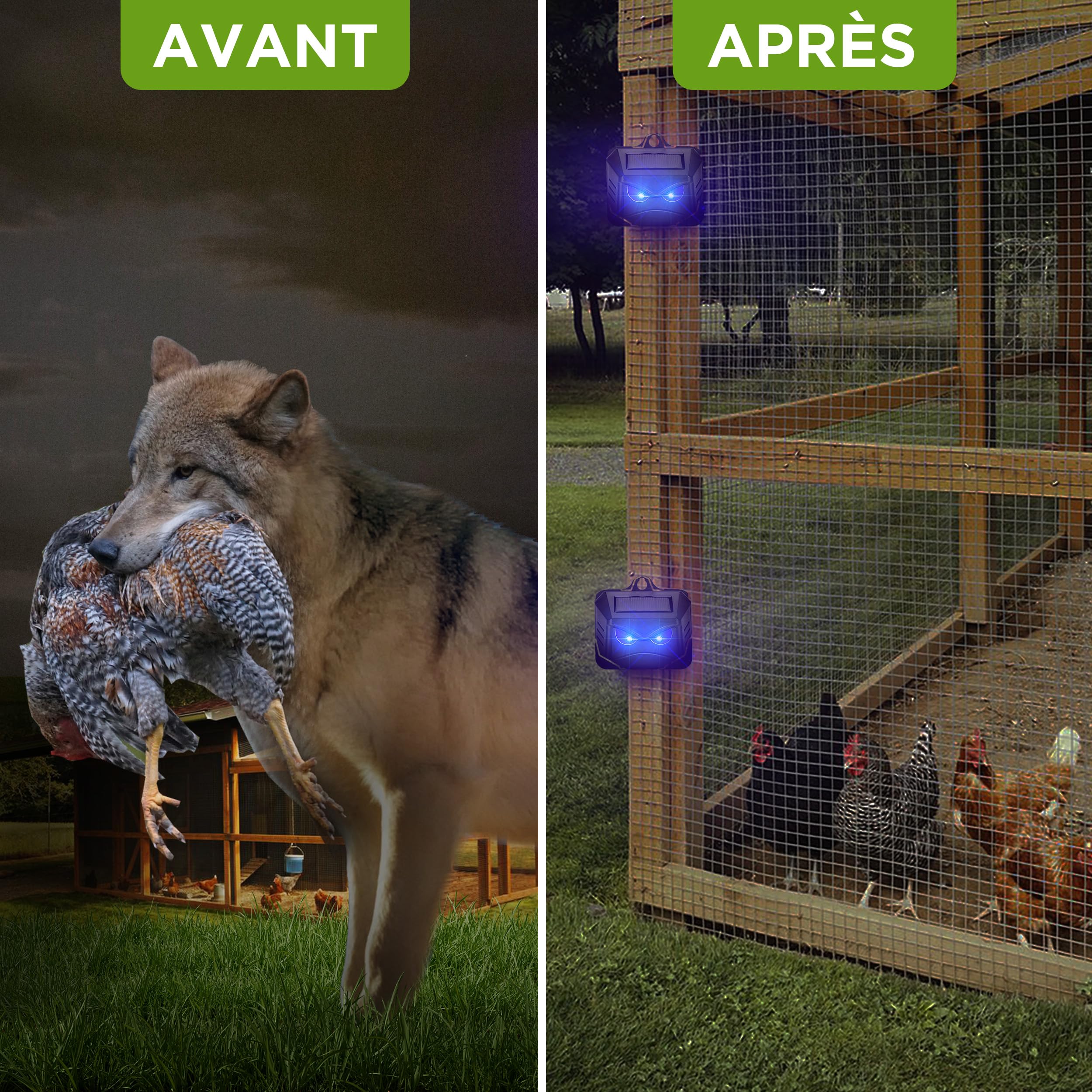 ISOTRONIC Répulsif Solaire Ratons Laveurs Cerfs Renards Sangliers Protection Animaux Sauvages LED Bleue 40 m² Lot de 4 Pièces Jardin