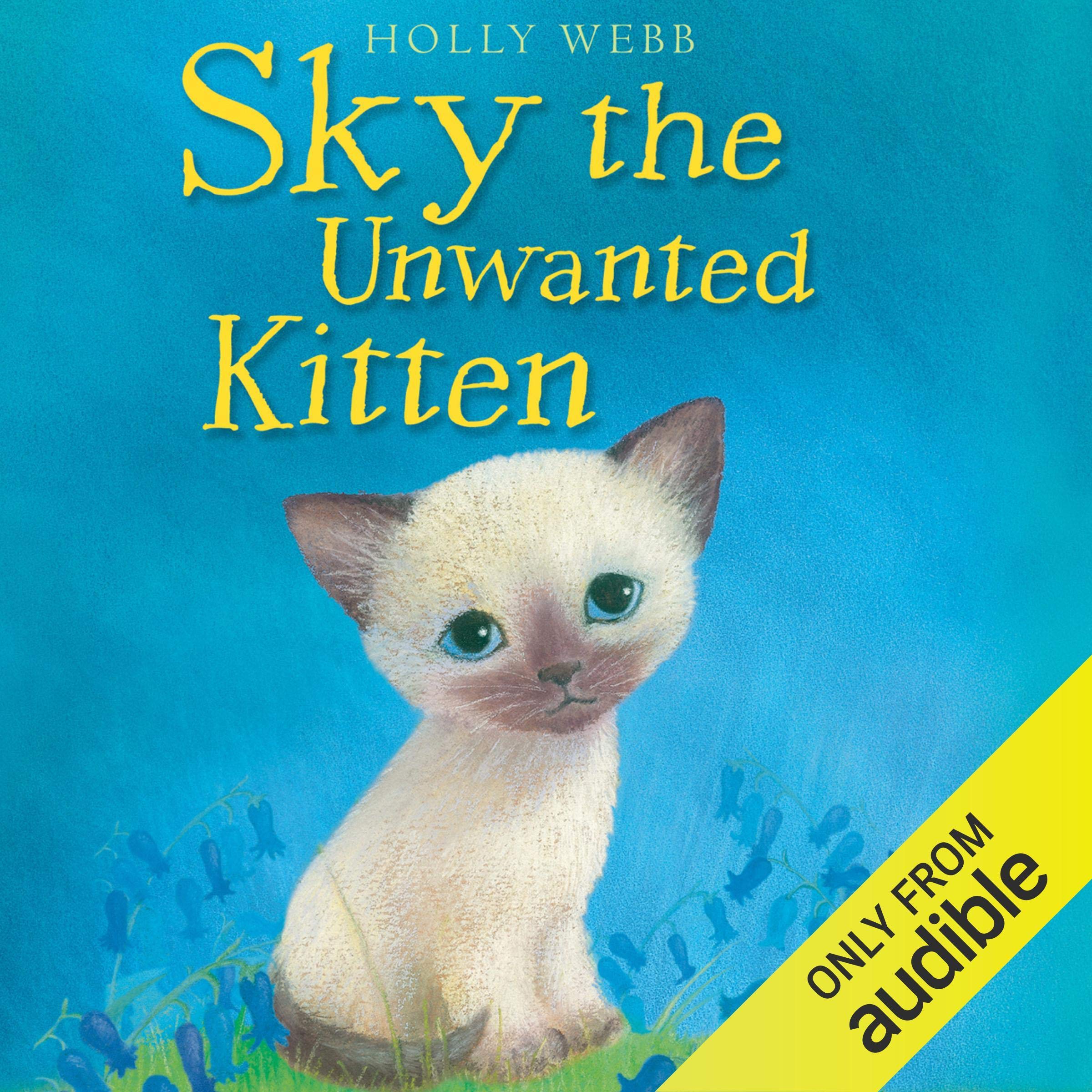 Cover art for Sky the Unwanted Kitten