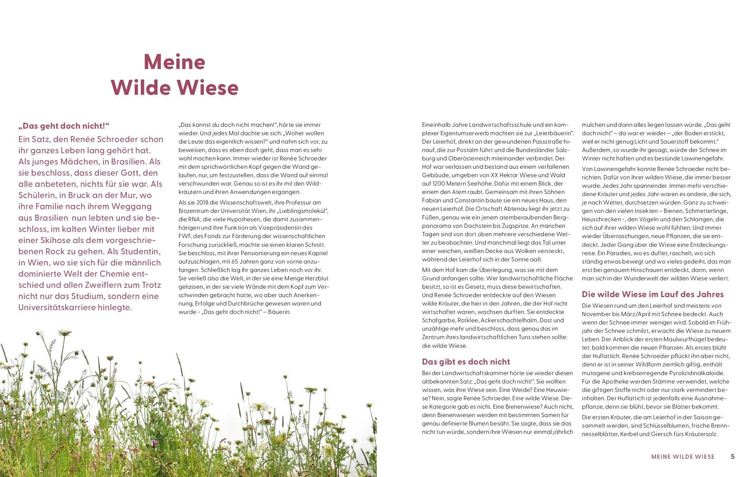 Wie Wildkräuter wirken: Wie wir die Heilkraft der Pflanzen nutzen können und was die Wissenschaft dazu weiß