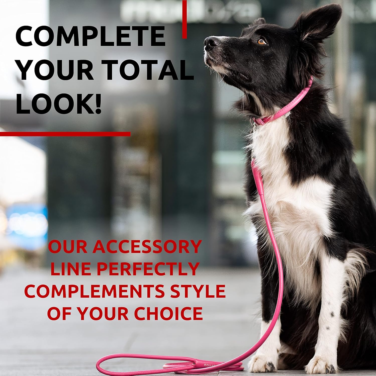 WAUDOG Rolled Leather Dog Leash 4Ft * 0.4 in for Small Medium and Large Dogs - Heavy Duty Leather Puppy Leash for Outdoor Walking Running Training - Strong Dog Leashes for Large Breed Dogs (Pink)