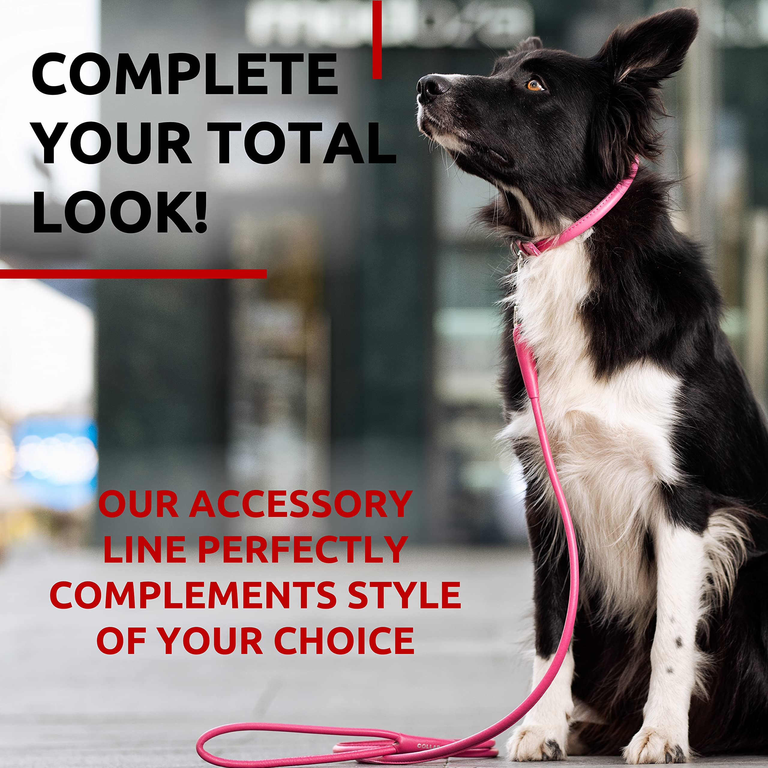 Rolled Leather Dog Leash 4ft - Heavy Duty Real Leather Leash For Small, Medium, Large Dogs