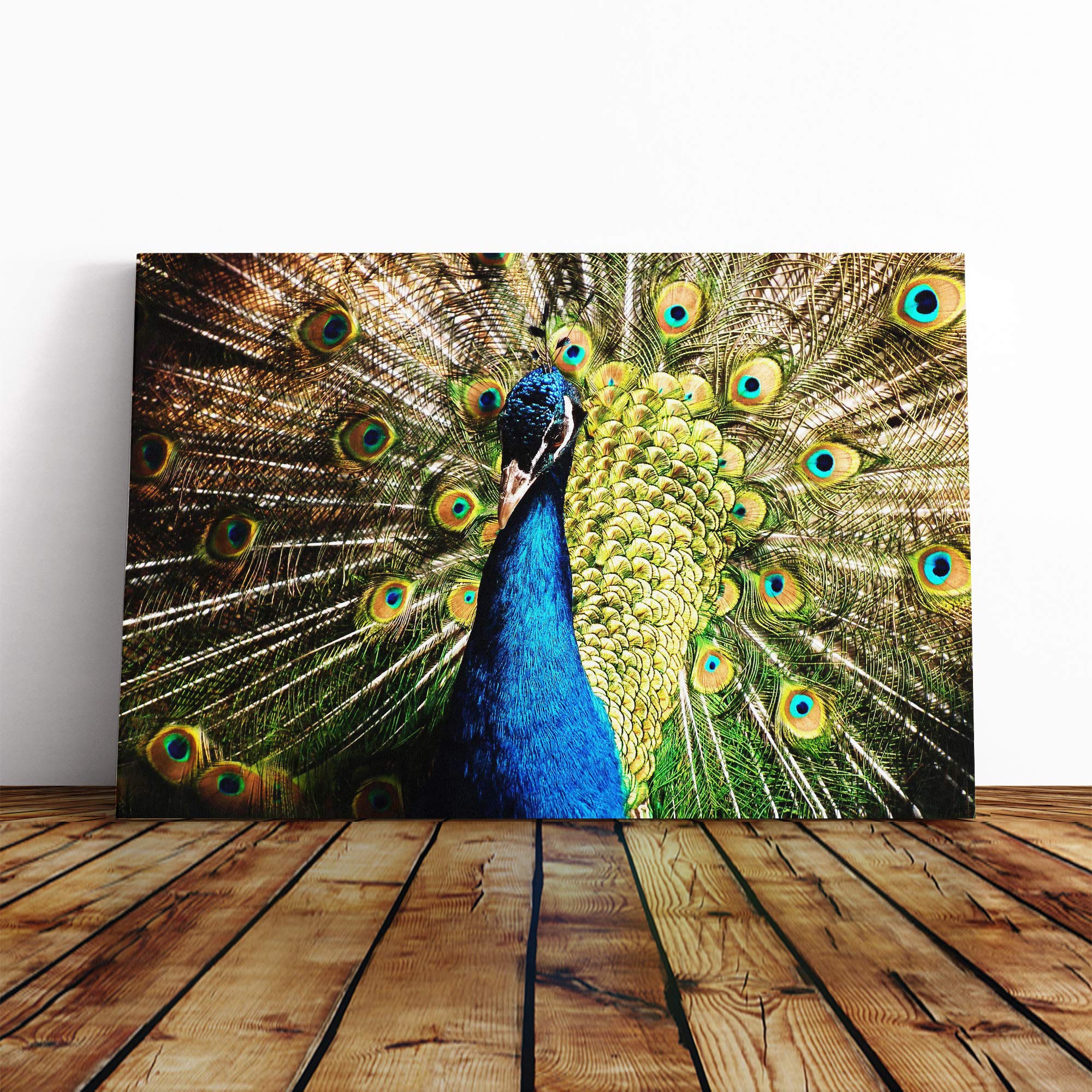 Peacock Bird Vol.5 Canvas Print | Gallery Wrapped 30mm Frame Wall Art | 20x14 inches | Ready to Hang | Modern Animals Picture | Living Room Bedroom Lounge Office