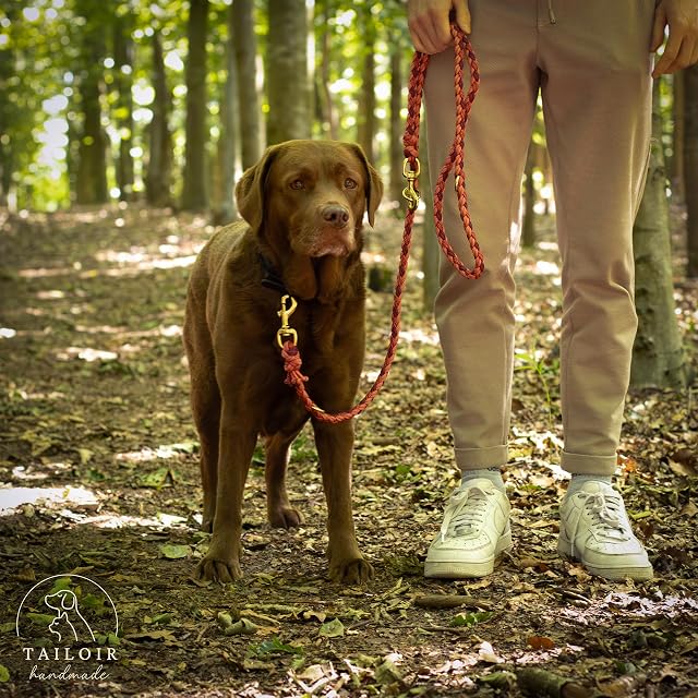 Foto 5 de 7 de Tailoir Correa Perro 2 Metros - Correa para Perros, Correas Perros, Rojo