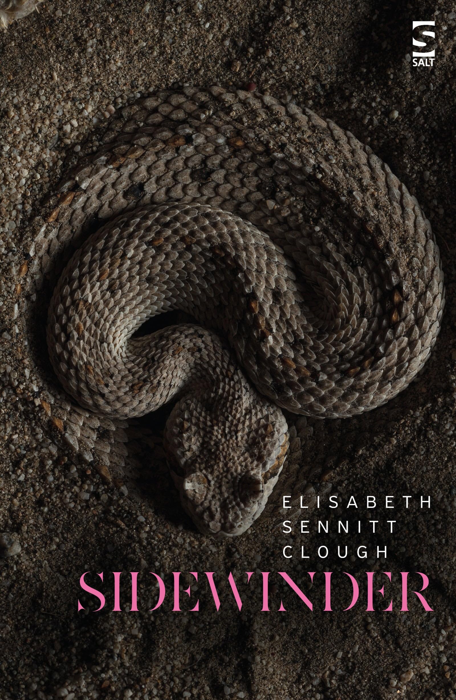Sidewinder (Salt Modern Poets)