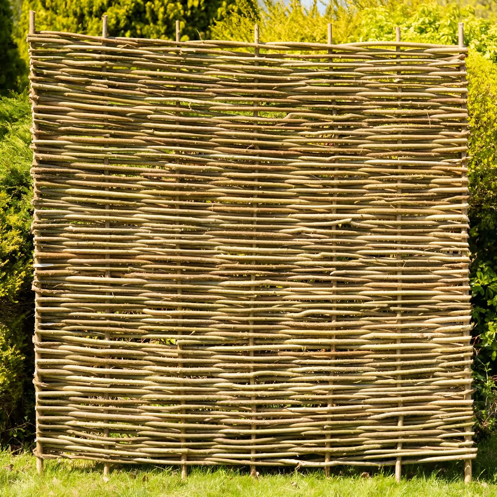 Papillon Brown 5 Pack Premium Hazel Hurdle Garden Fence Panels Wattle Fencing Panel 1.8M X 1.8M (6Ft X 6Ft)