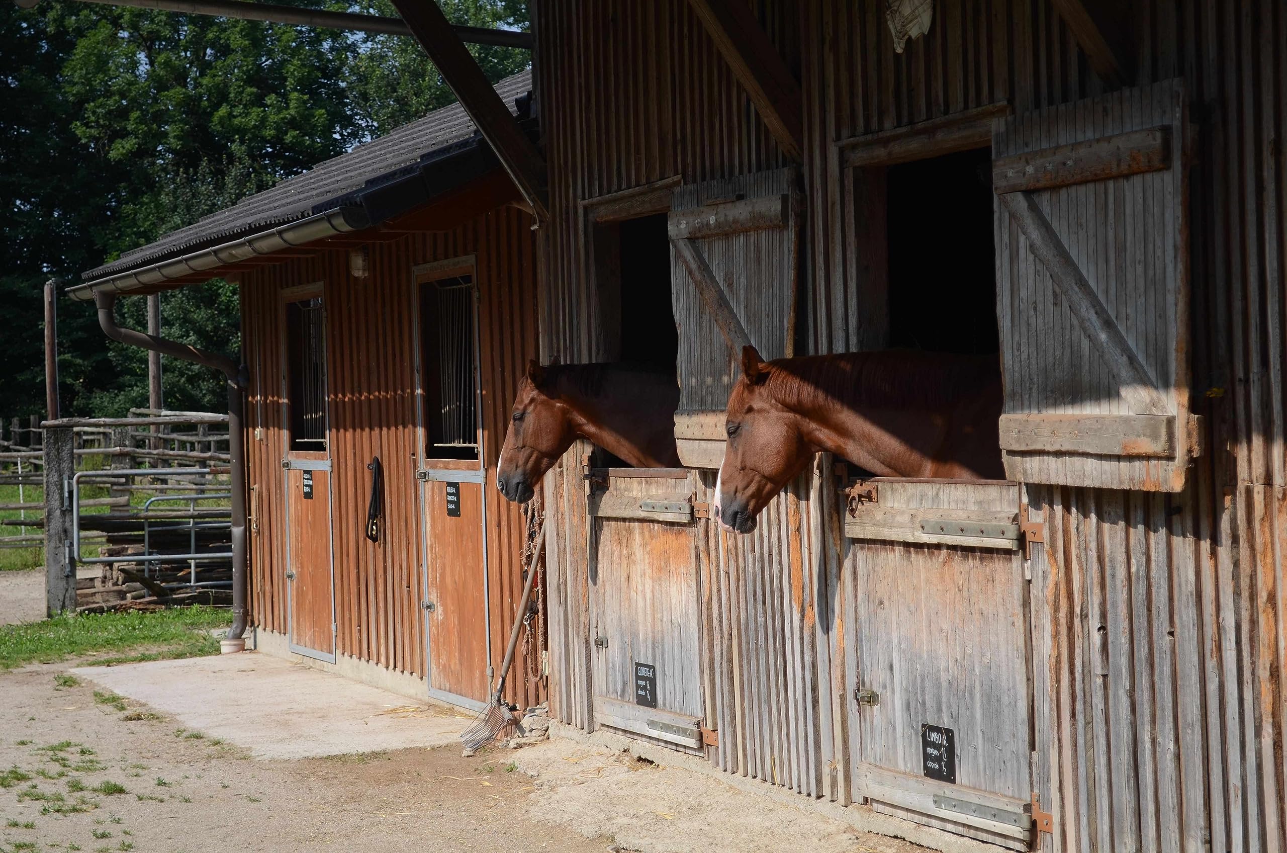 HorseGuard Heutasche Heusack - Heunetz - Futtersack Futterbeutel Futtersack mit 3 Riemen