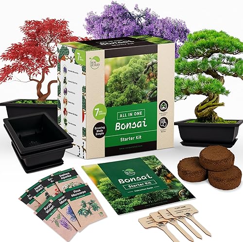 Kit de inicio de bonsái – Kit de árbol bonsái japonés de 7 semillas – Cultiva tu propio – Regalos para amantes de las plantas, regalos para el hogar