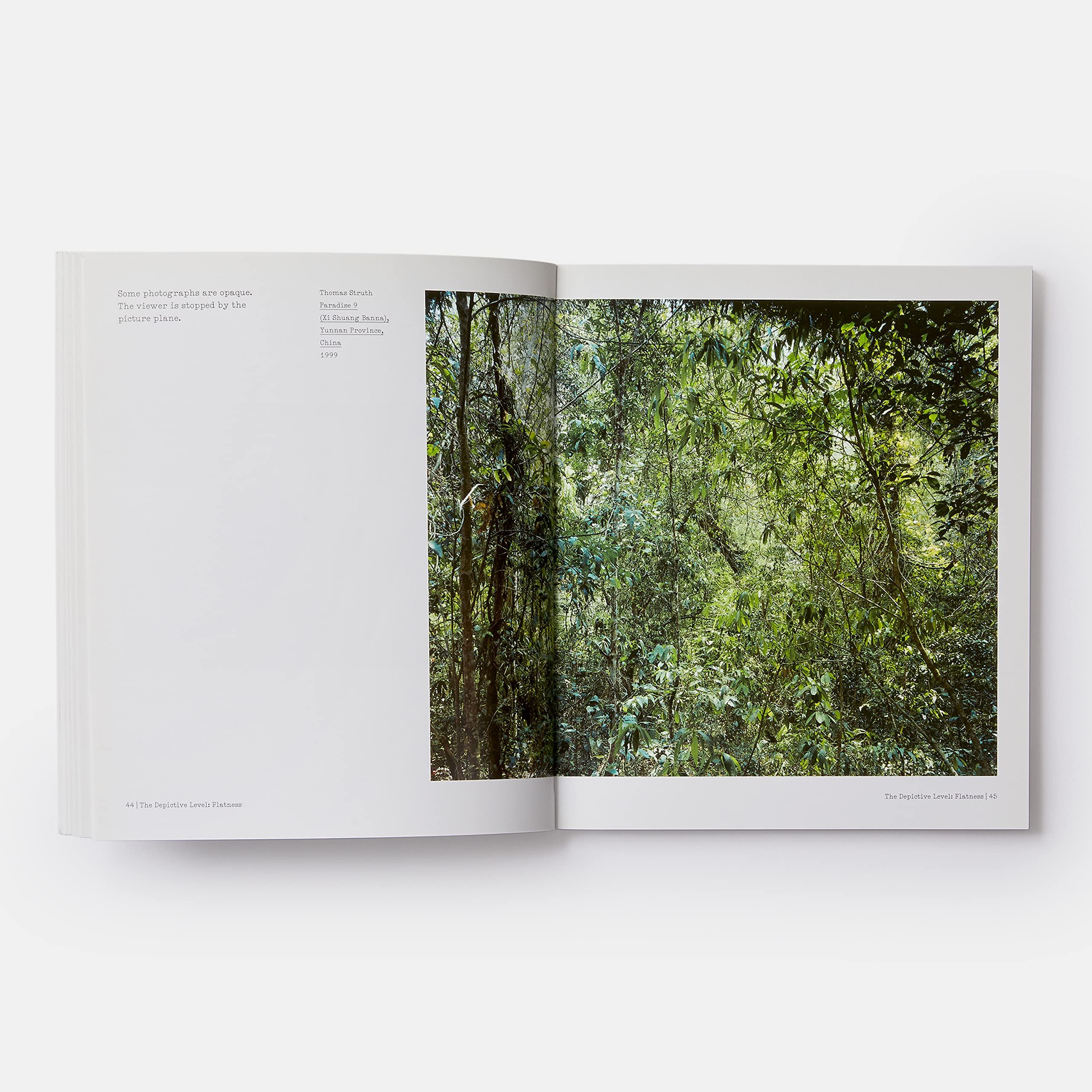 The Nature Of Photographs: A Primer: 0000