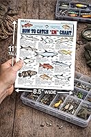 Vista 3 de Tabla de identificación de peces de agua salada #1 – Guía de pesca de referencia rápida impermeable – Identificación de especies + métodos de pesca