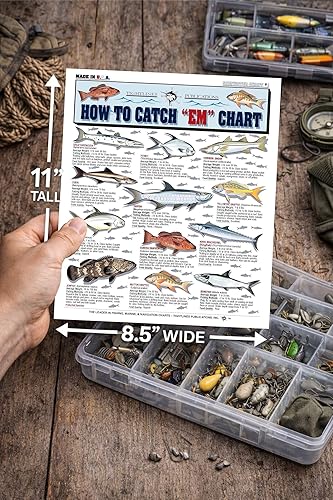 Miniatura 3 de Tabla de identificación de peces de agua salada #1 – Guía de pesca de referencia rápida impermeable – Identificación de especies + métodos de pesca