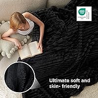 Vista 353 de Bedsure GentleSoft Twin Blanket for Couch - Cozy Soft Blankets for Women, Cute Small Fleece Throws for Girls, Light Grey, 60x80 Inches