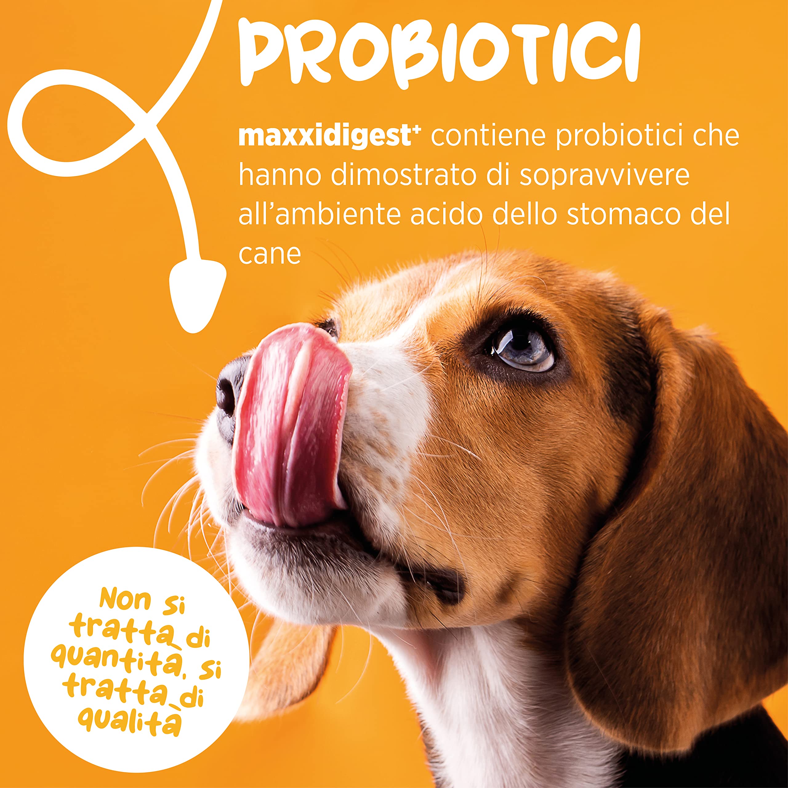 maxxipaws maxxidigest+ Prebiotici e Probiotici per Cani - Integratore per l'Apparato Digerente e il Sistema Immunitario, 200g