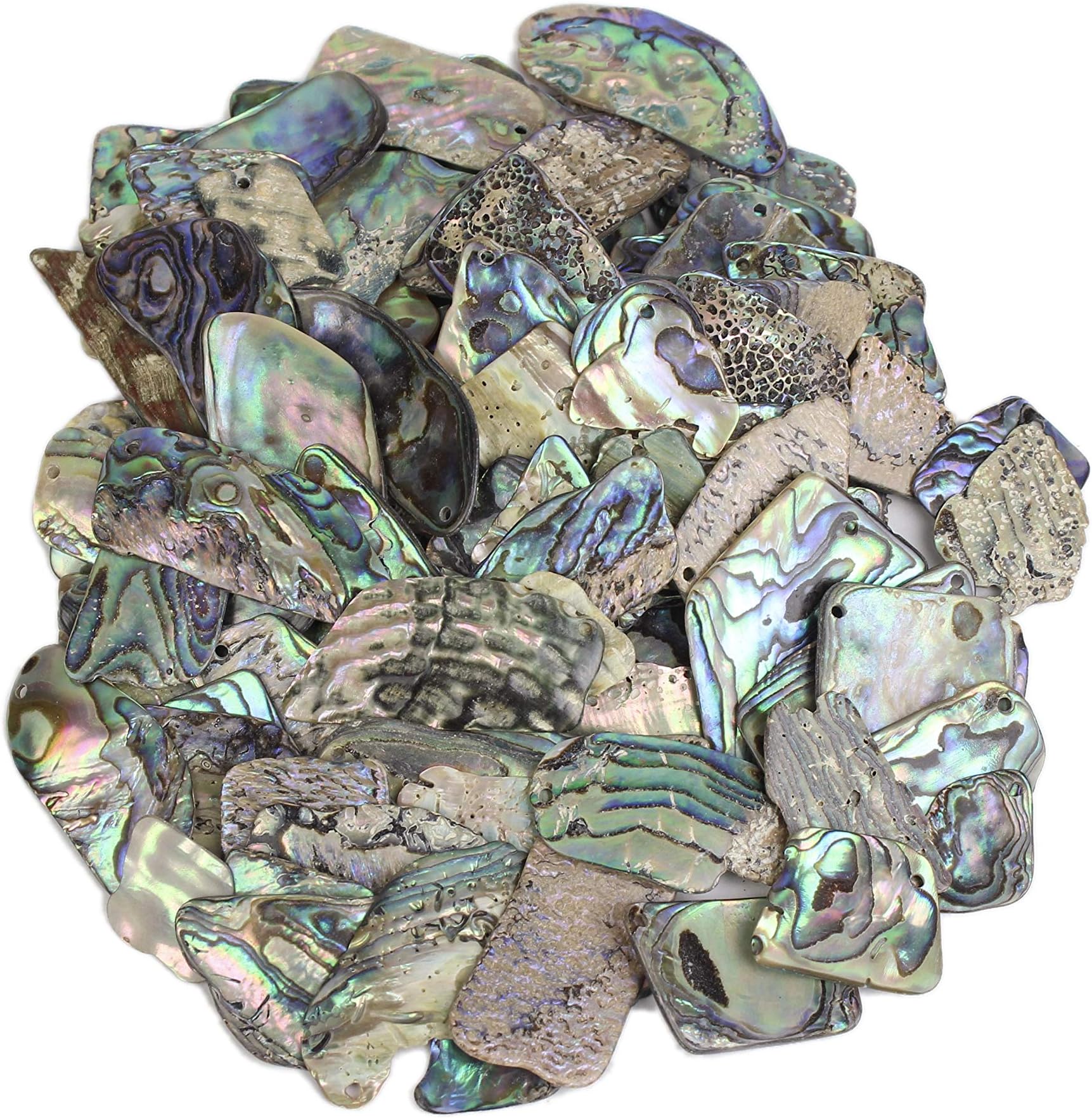 Paua Shell Pieces Gloss Drilled: Large 1/4 lb (565Z-TPGDL-AS) L2