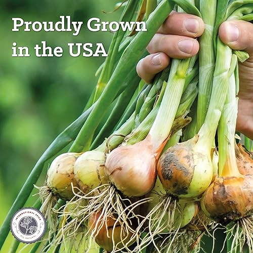 Miniatura 3 de Sal de cebolla  Calidad de restaurante  Botella de 20 onzas