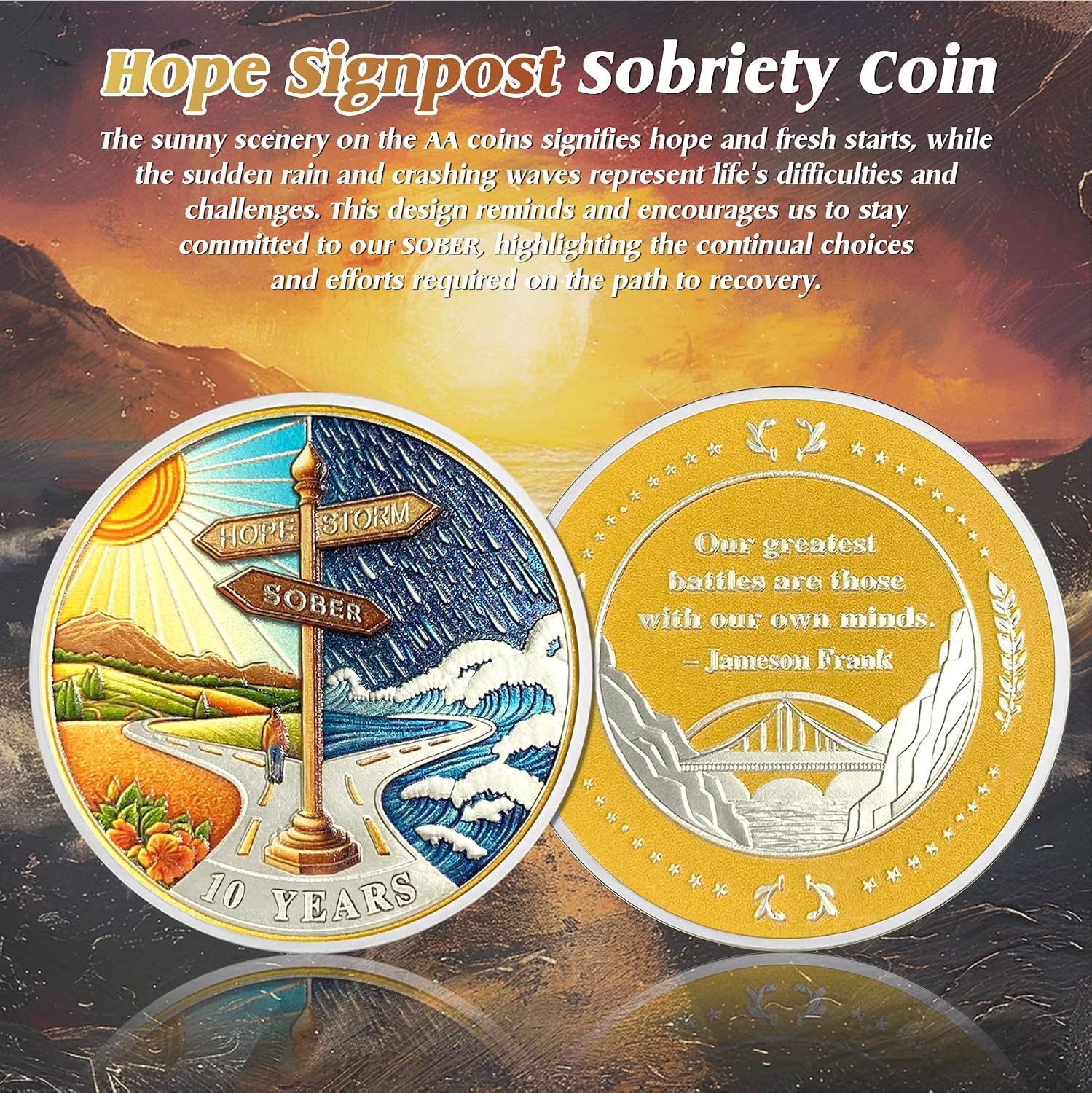 Hope Signpost 10 Year Sobriety Coin - Reborn from Storm AA Coins - Ten Year AA Chips and Medallions - 1-10 Years NA AA Celebrate Recovery Addicts - Narcotics Alcoholics Anonymous Gifts for Men Women