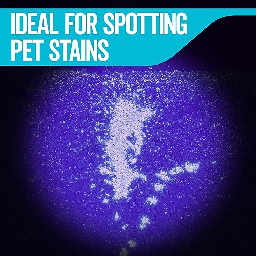 Miniatura 4 de Rayovac Value Linterna con mango de silicona de gel, luz LED brillante, con baterías