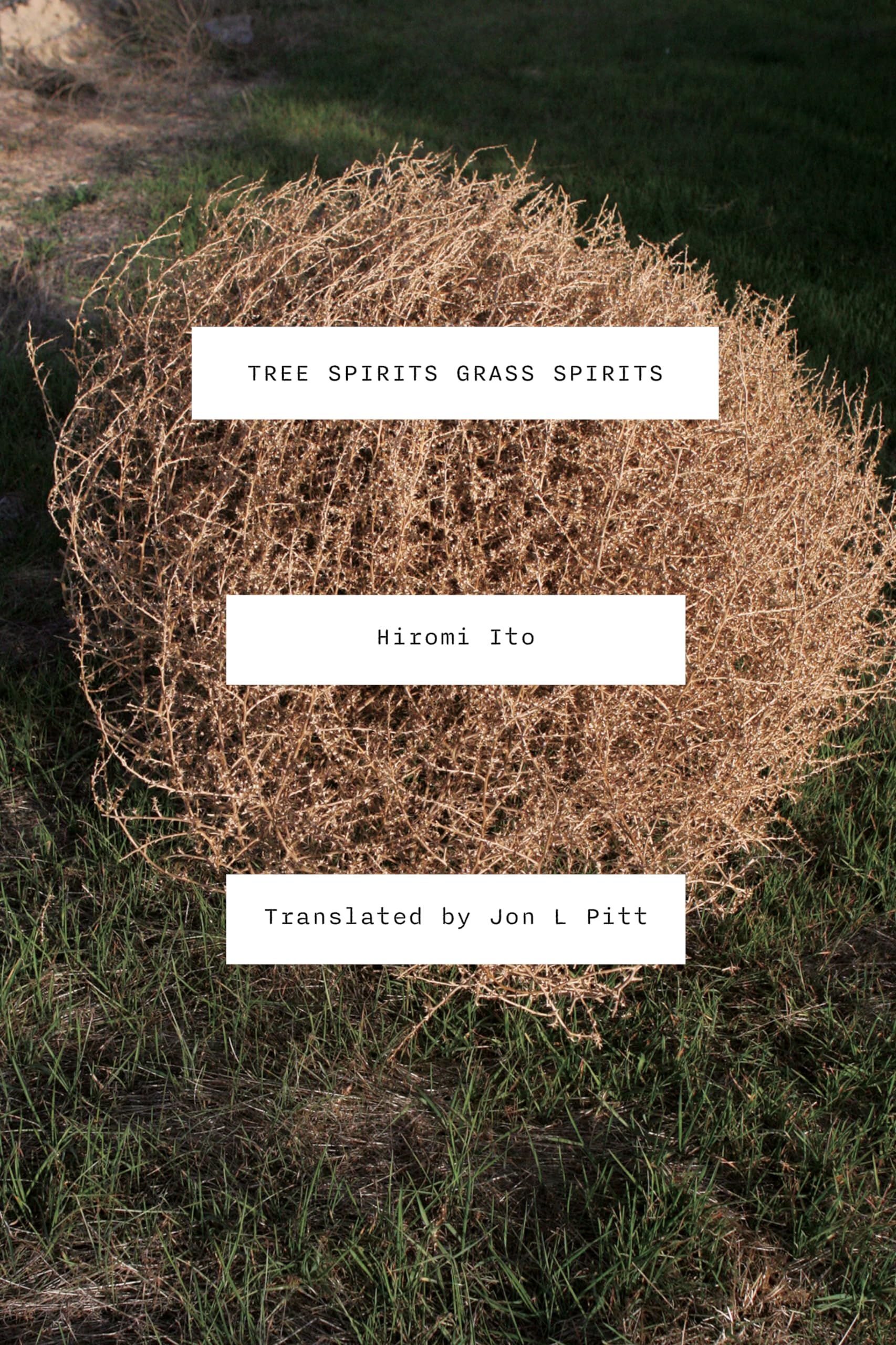Tree Spirits Grass Spirits by Hiromi Ito, Jon L. Pitt - 9781643621920
