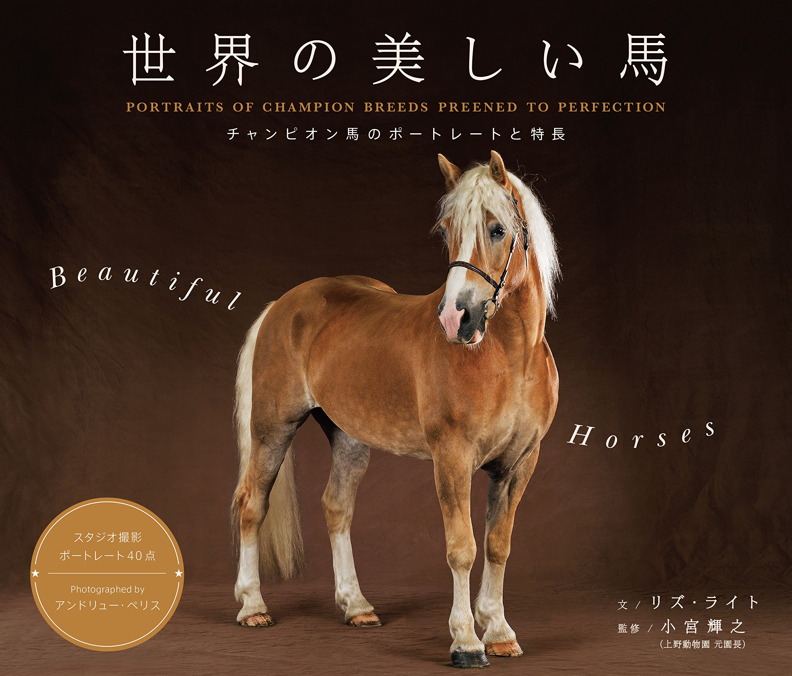 世界の美しい馬 チャンピオン馬のポートレートと特長 リズ ライト 小宮輝之 本 通販 Amazon 世界の美しい馬 チャンピオン馬のポートレートと特長 リズ ライト 小宮輝之 本 通販 Amazon
