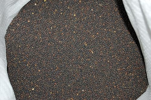 Miniatura 4 de Eretz - Semilla de leguminosa de arveja peluda (3 libras)  Elige el tamaño. Willamette Valley, cultivada en Oregon, sin OMG, sin rellenos, sin