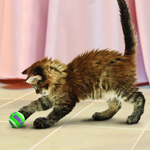 Foto 3 de 4 de KONG - Cat Active Tennis Balls with Bells - Juguete para Gatos con un Cascabel Dentro - Pack de 3