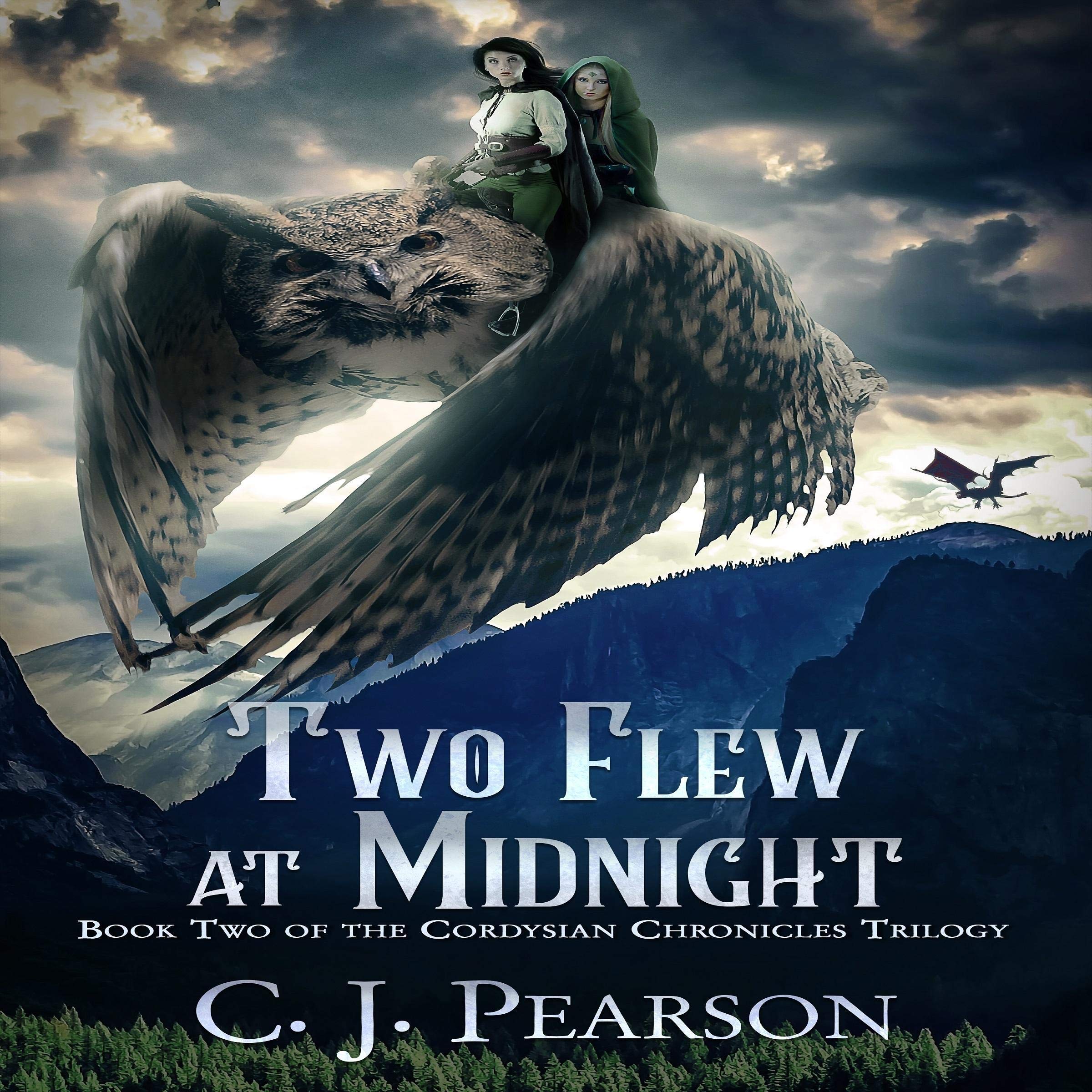 Cover art for Two Flew at Midnight