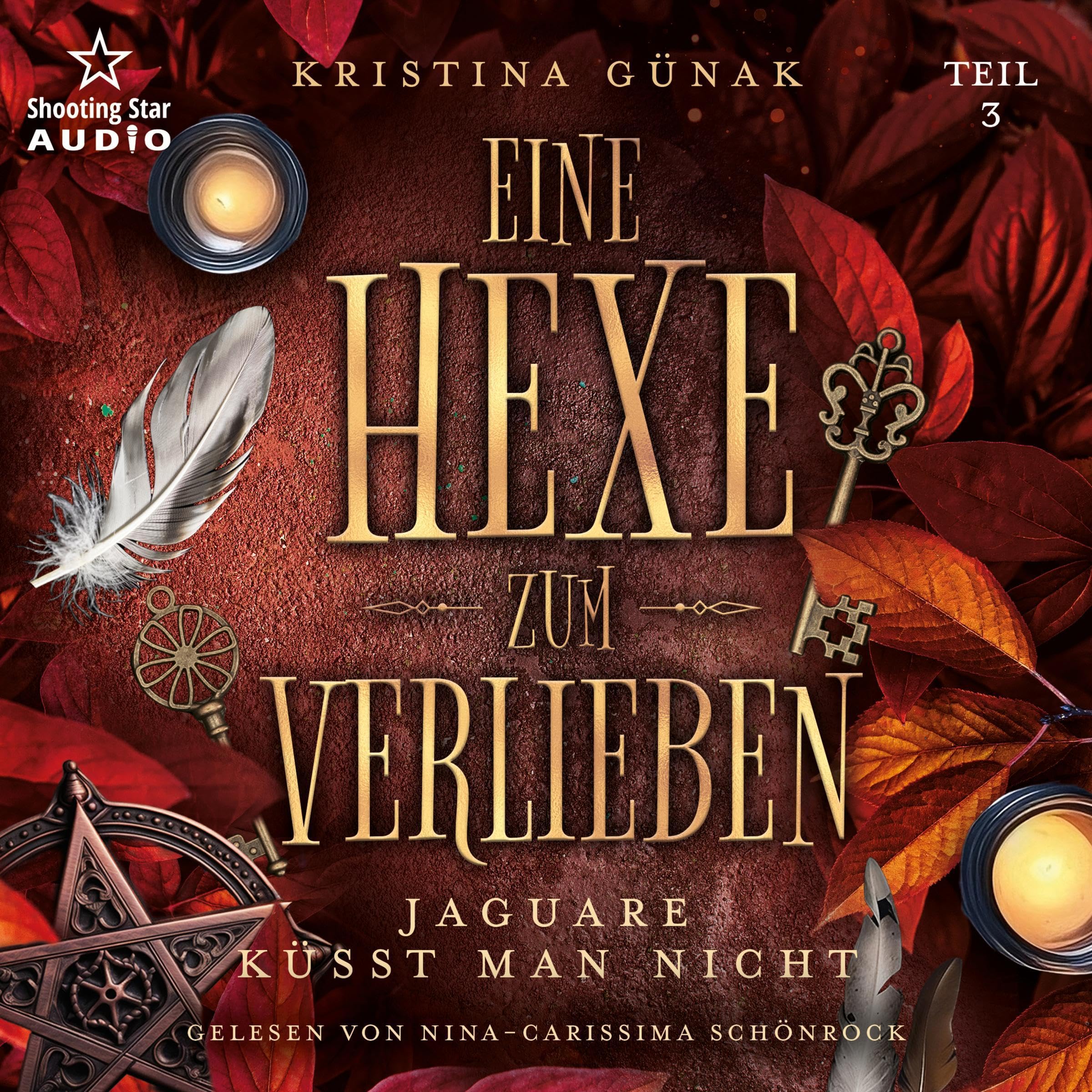 Cover art for Eine Hexe zum Verlieben - Jaguare küsst man nicht