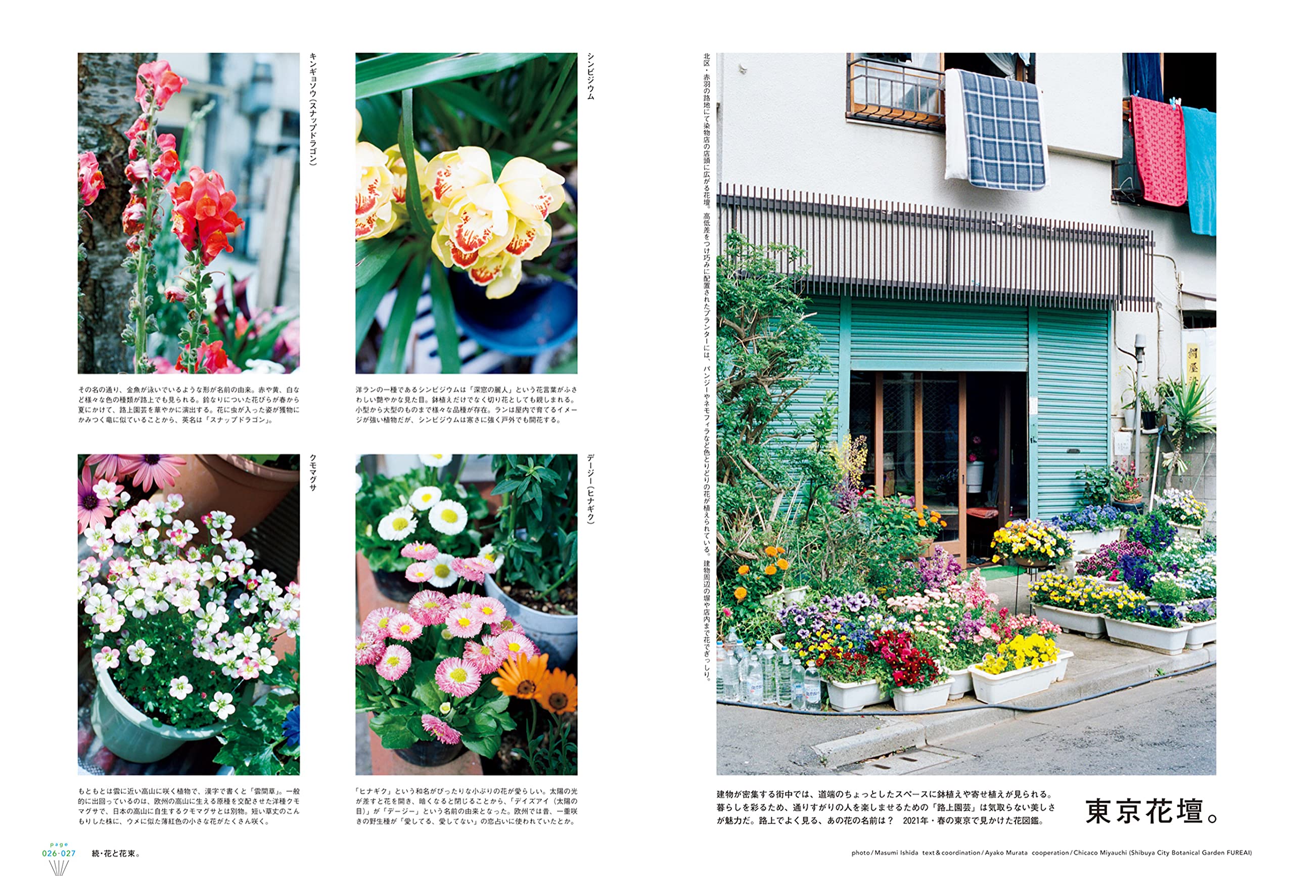 Brutus ブルータス 21年 6月1日号 No 939 続 花と花束 本 通販 Amazon