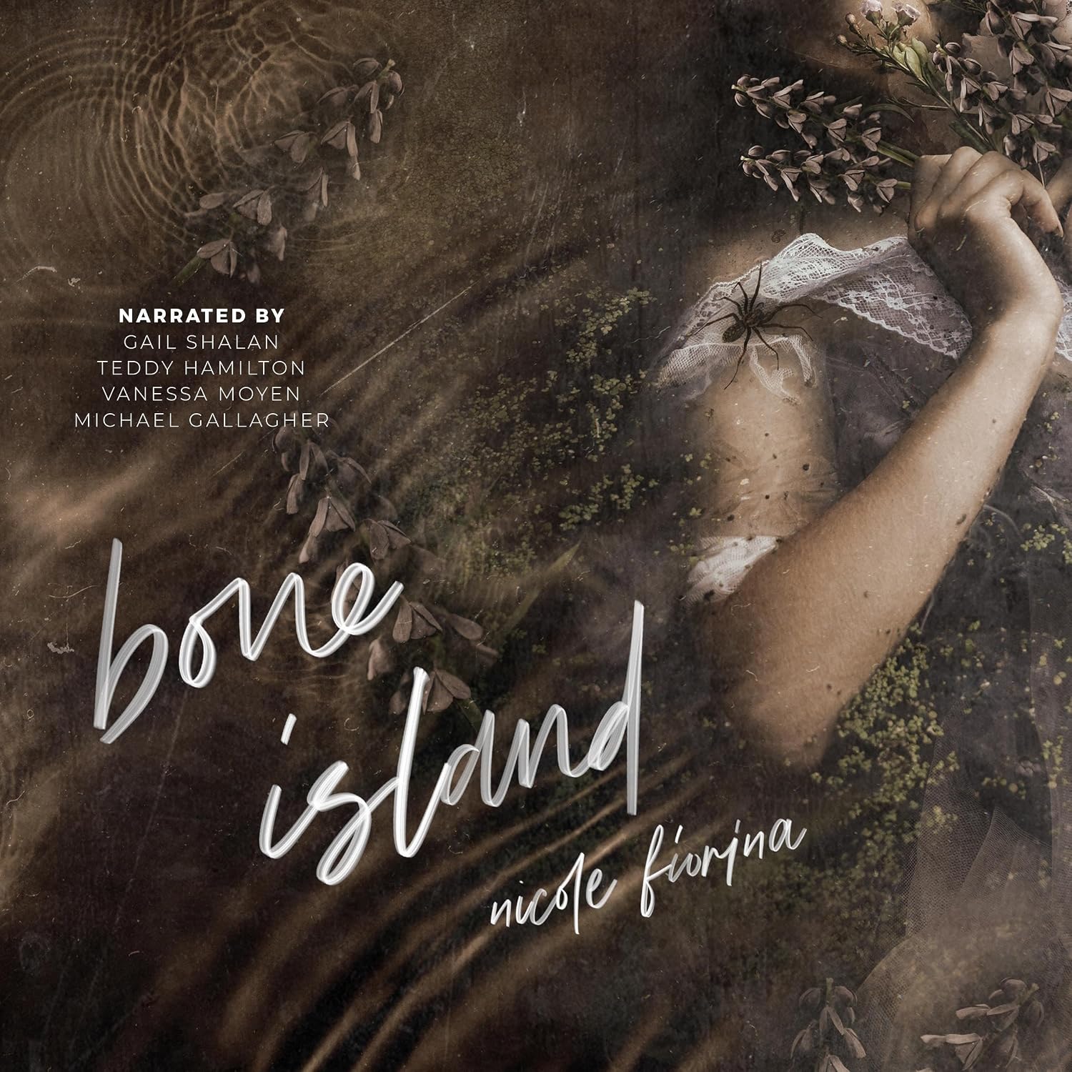Bone Island: Book of Danvers: Tales of Weeping Hollow, Book 2
