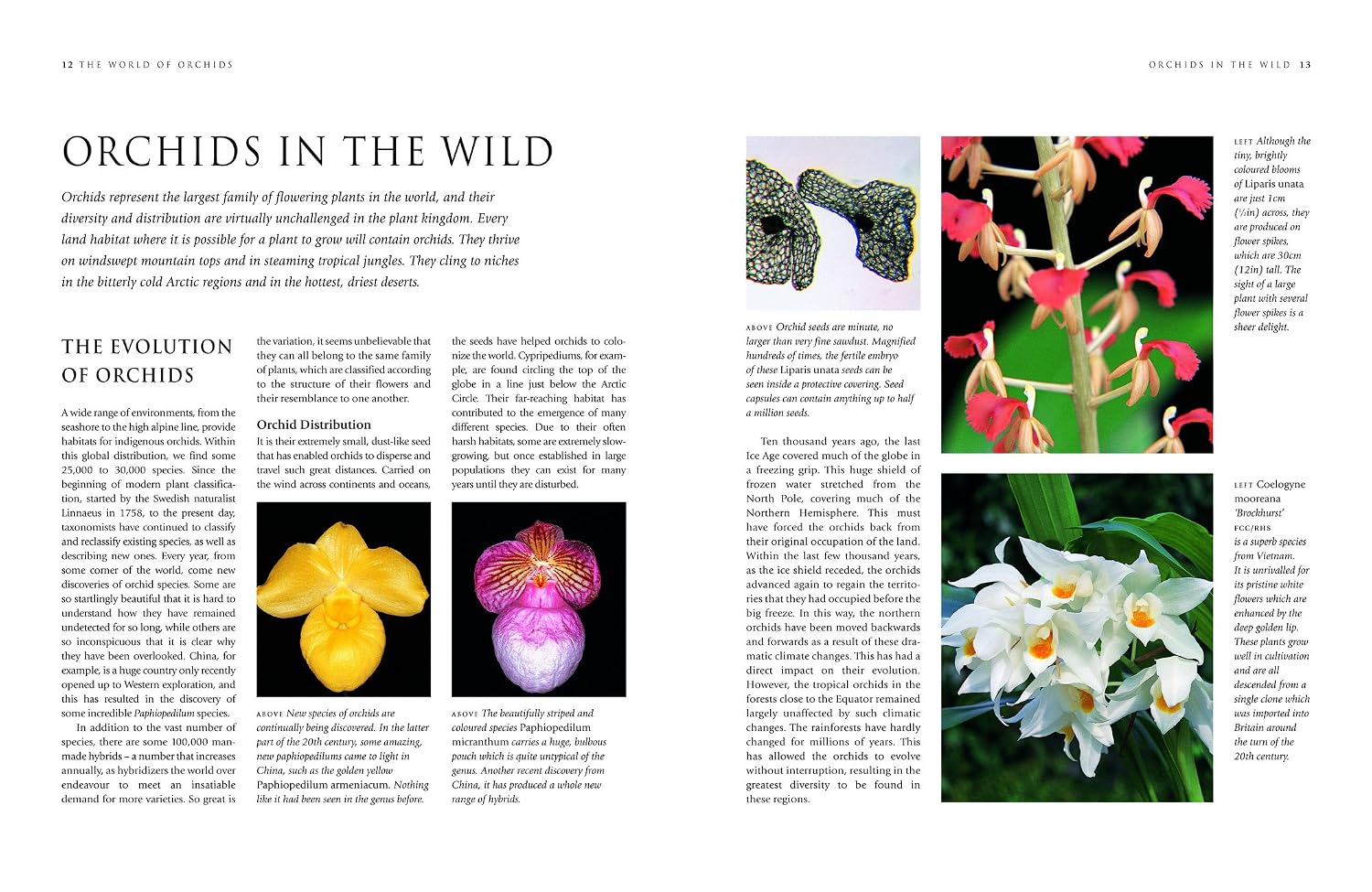Orchids: A Practical Guide for Gardeners: With Advice On Growing, A Directory Of 200 Orchids, and 600 Color Photographs